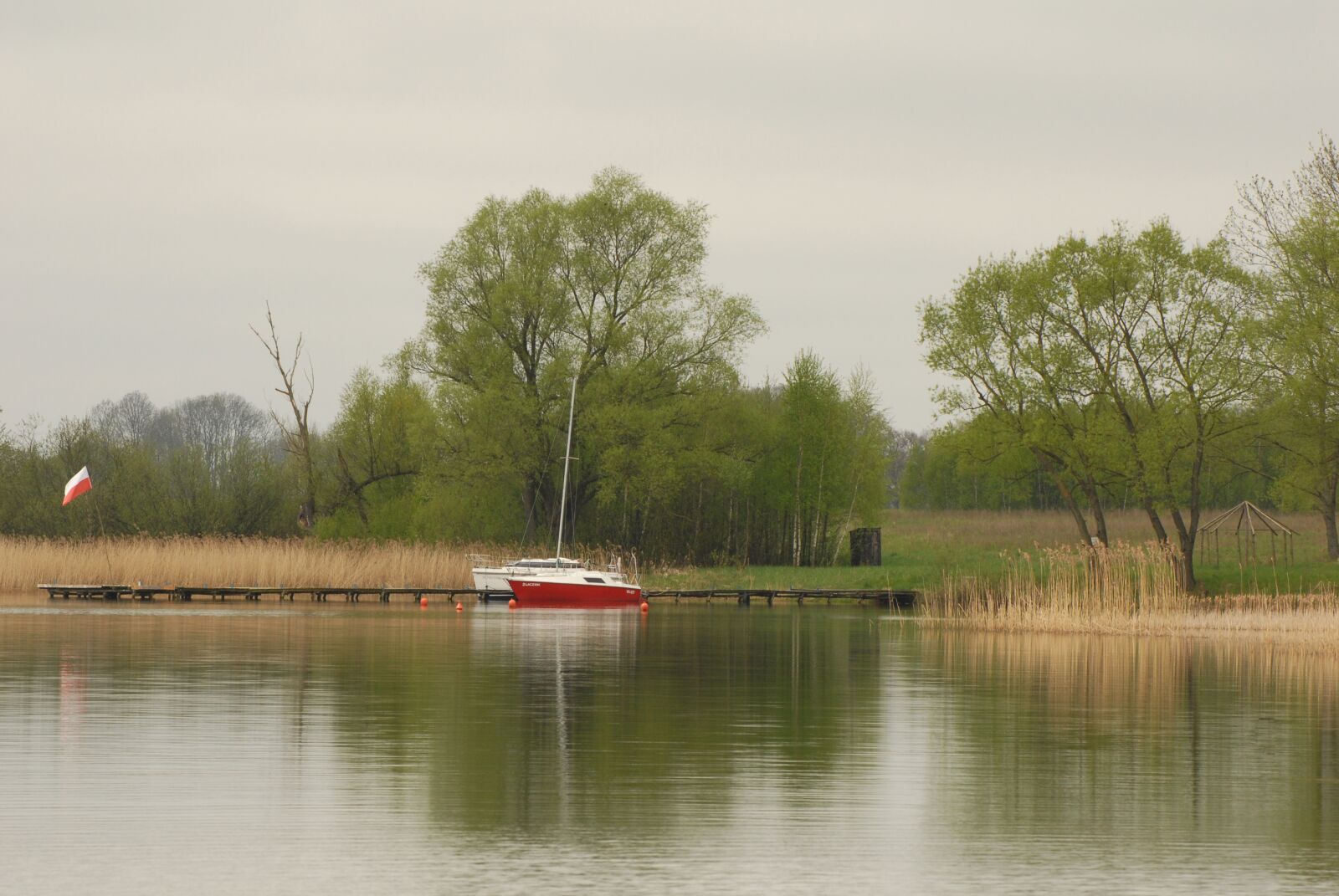Nikon D200 sample photo. Landscape, masuria, poland photography