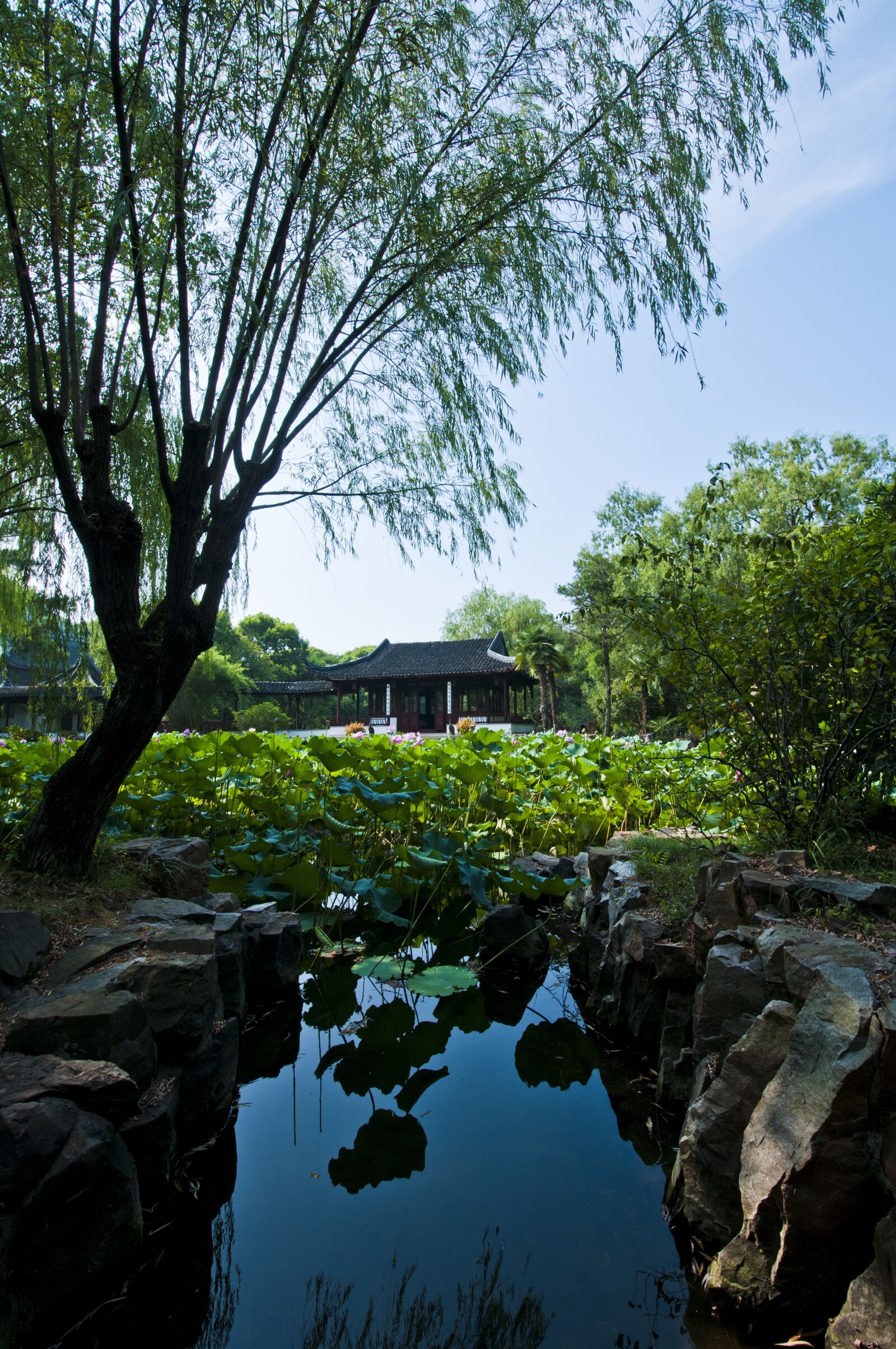 Nikon D300S sample photo. Suzhou, start garden, garden photography
