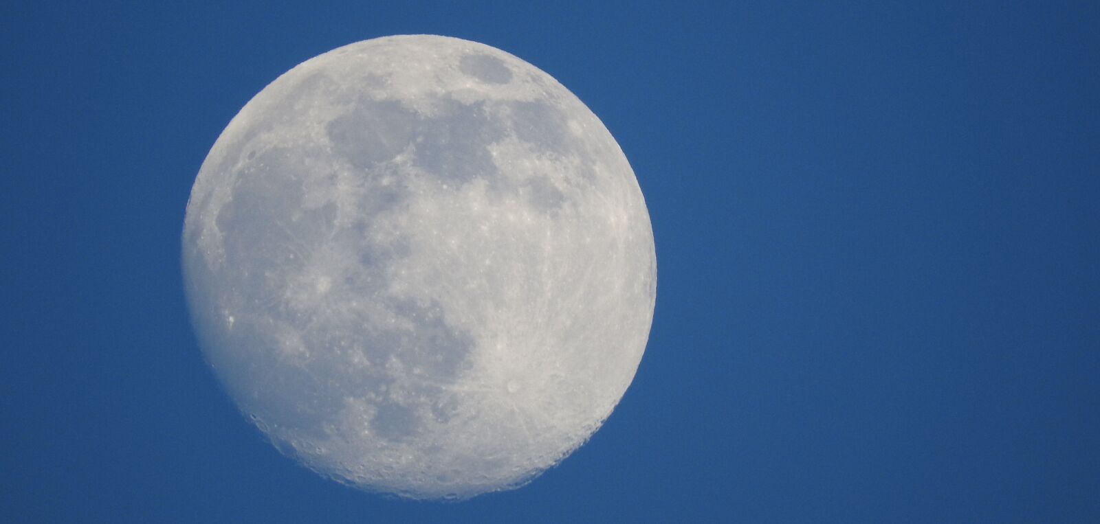 Nikon Coolpix P610 sample photo. Large, moon, full photography