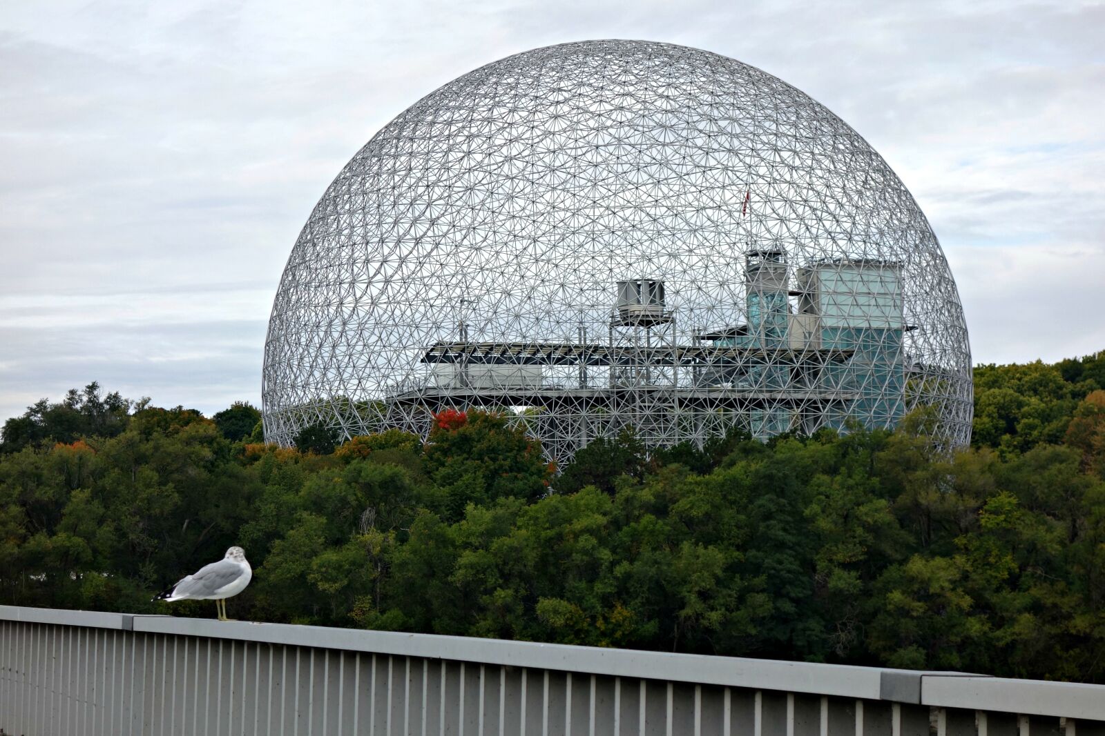 Sony Cyber-shot DSC-RX100 sample photo. Montreal, tourism, biosphere photography