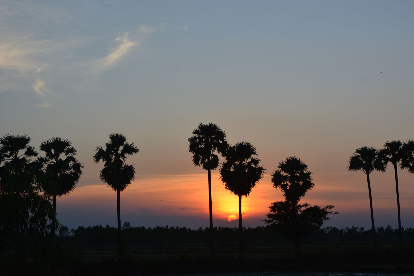 Nikon D5200 sample photo. Sunlight, evening, sun photography