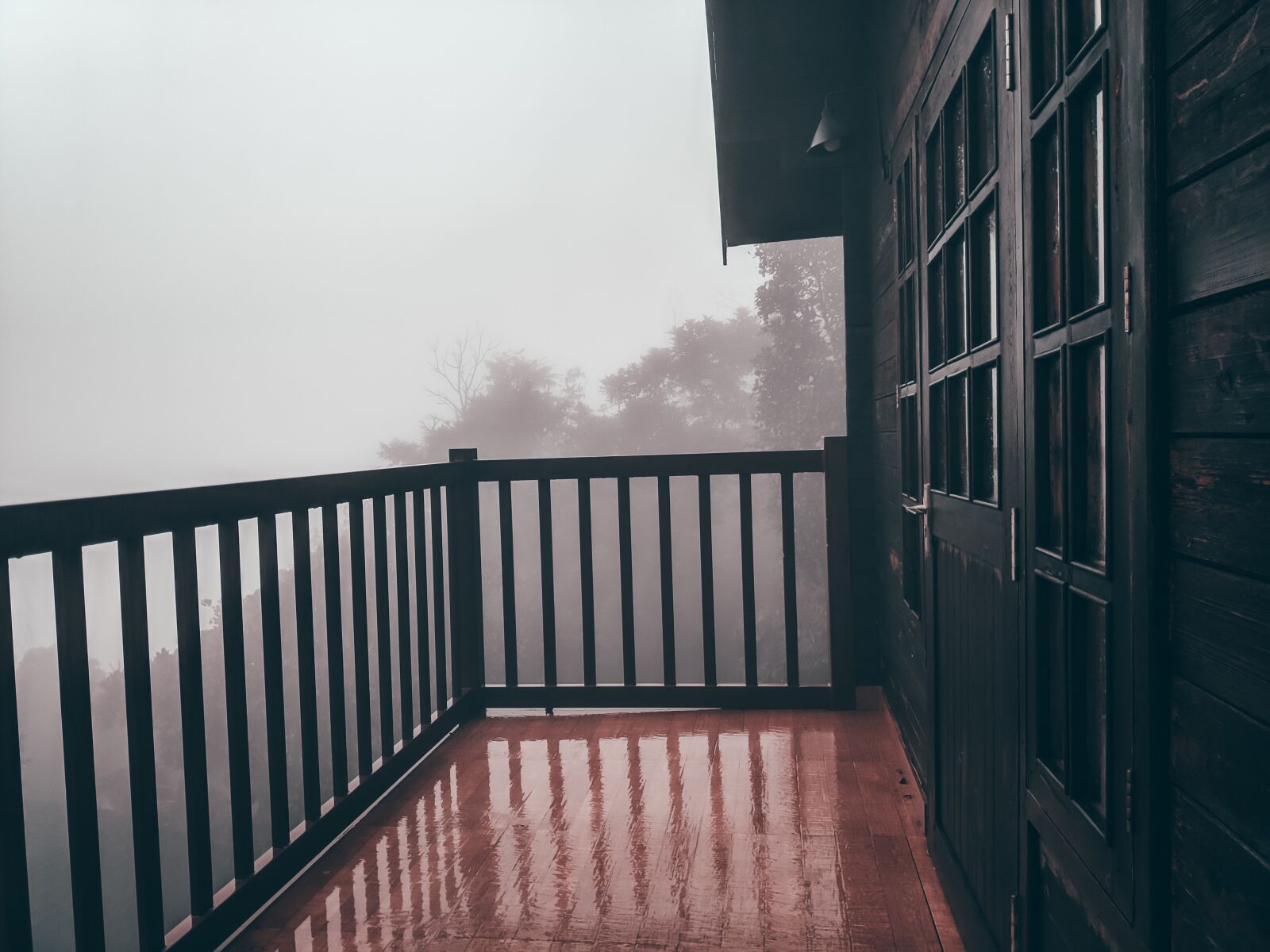 Xiaomi POCO F1 sample photo. Mist, rain, nature photography
