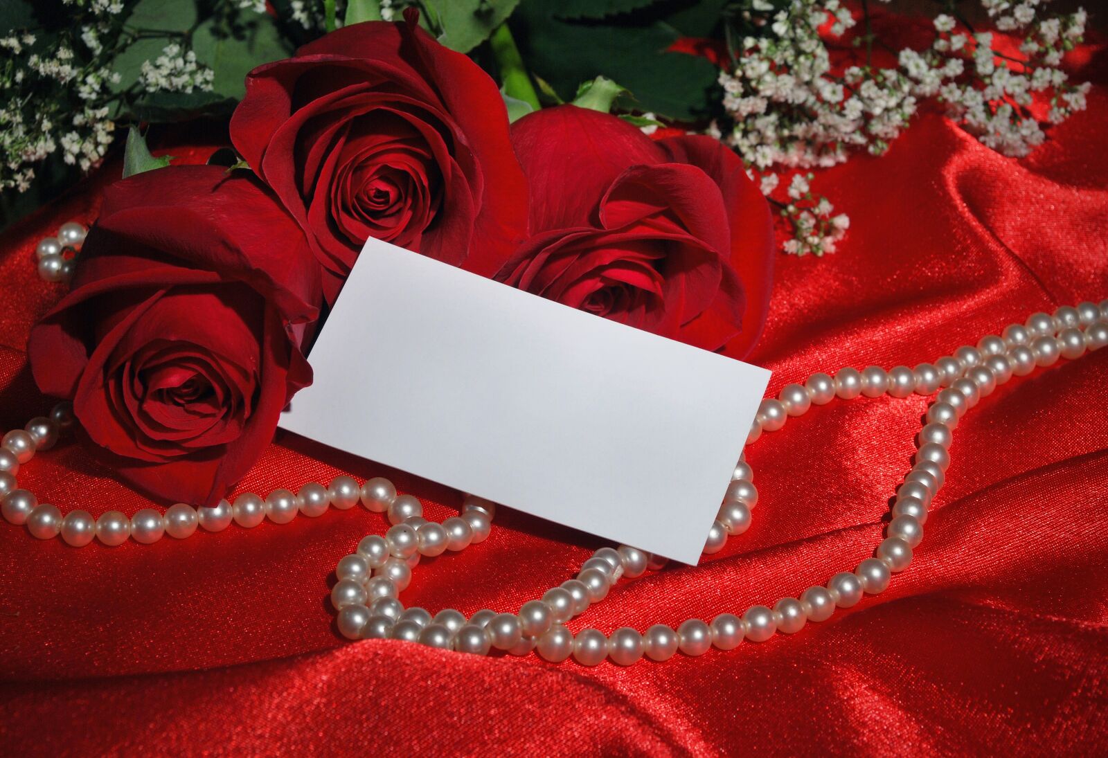 Nikon D60 sample photo. Rose, love, wedding photography