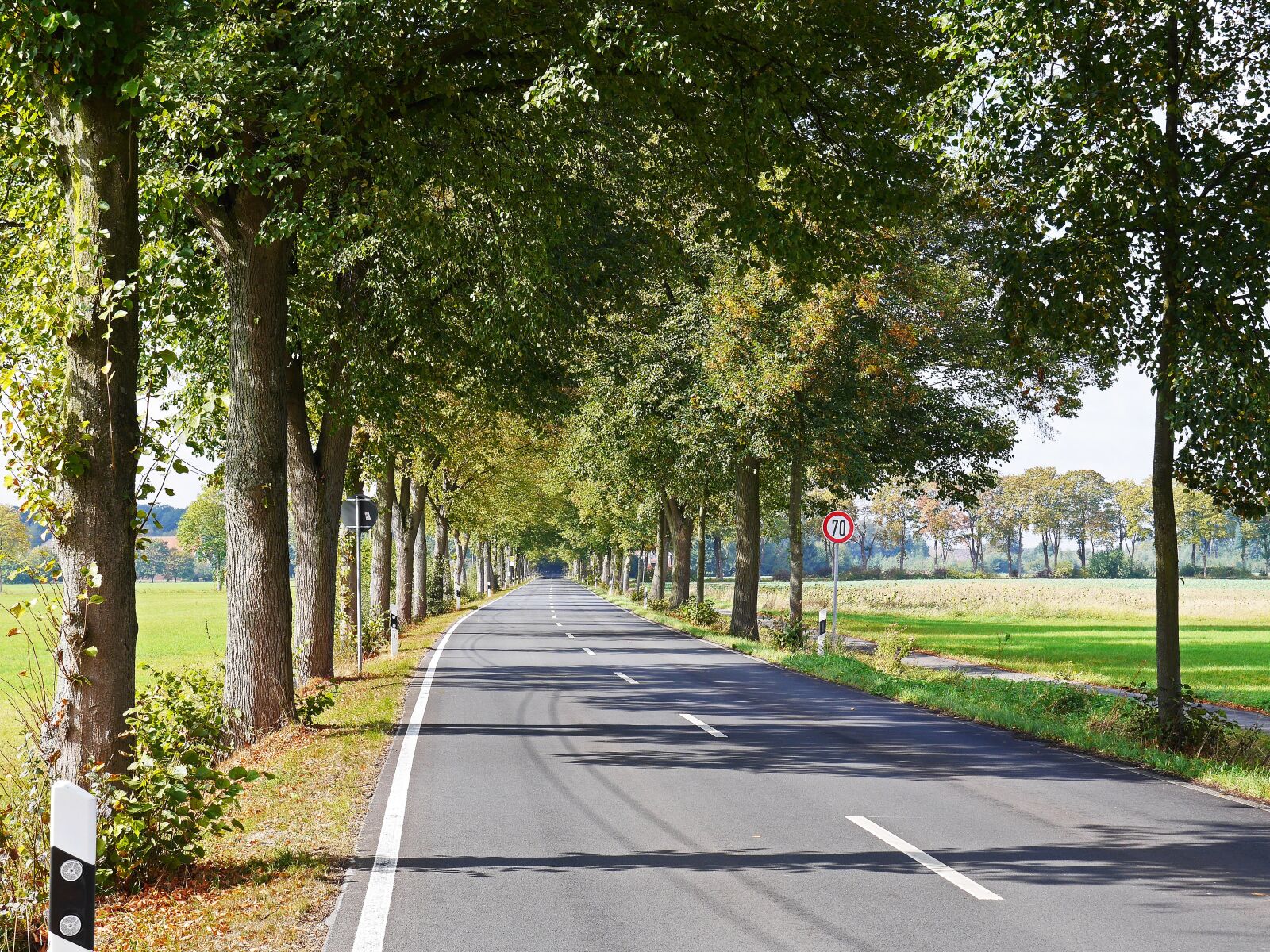 Panasonic Lumix DMC-GH3 sample photo. Road, avenue, münsterland photography
