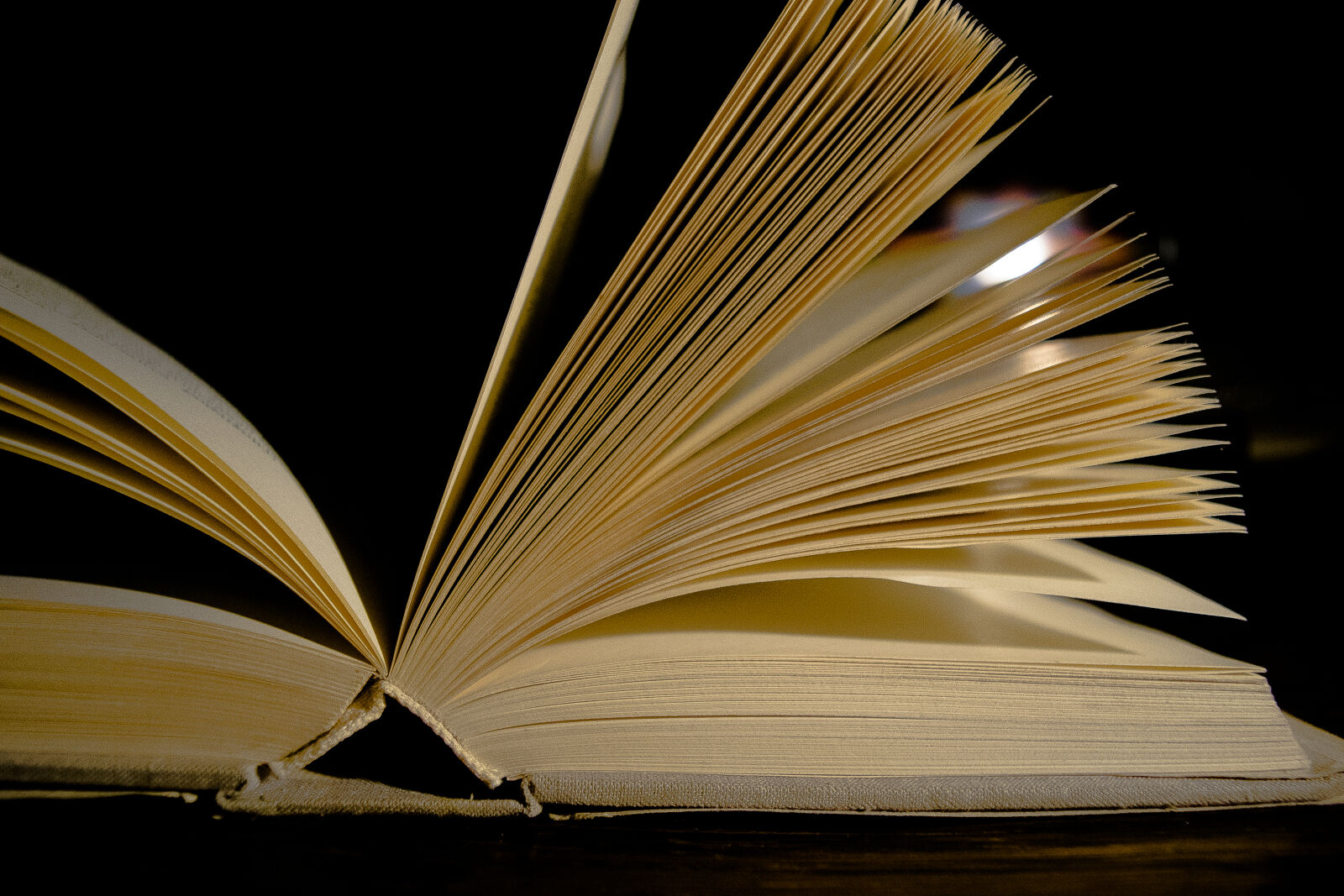 Nikon D3300 sample photo. Artistway, book, books, drogaartysty photography