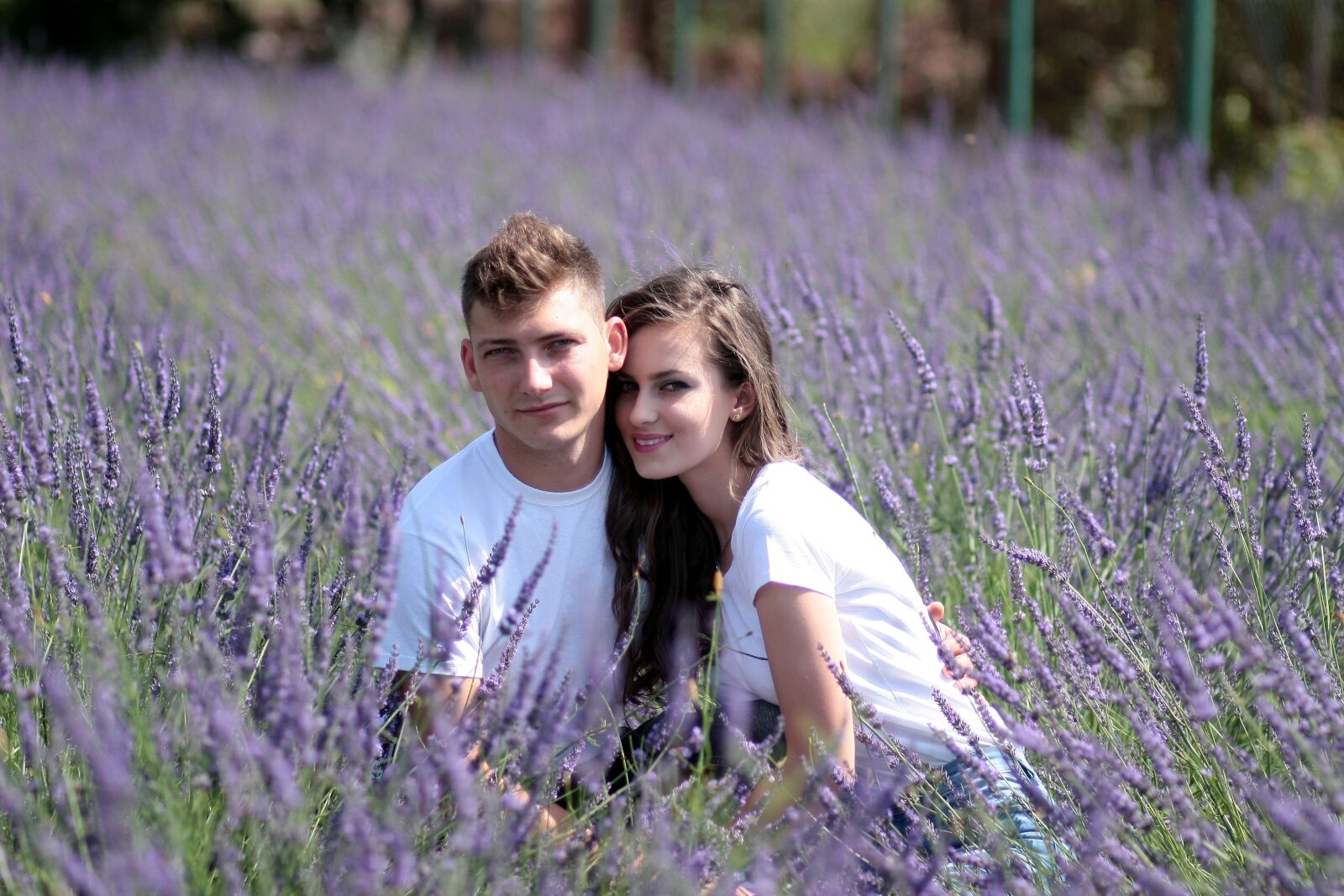 Canon EOS 450D (EOS Rebel XSi / EOS Kiss X2) sample photo. Couple, lavender, love photography