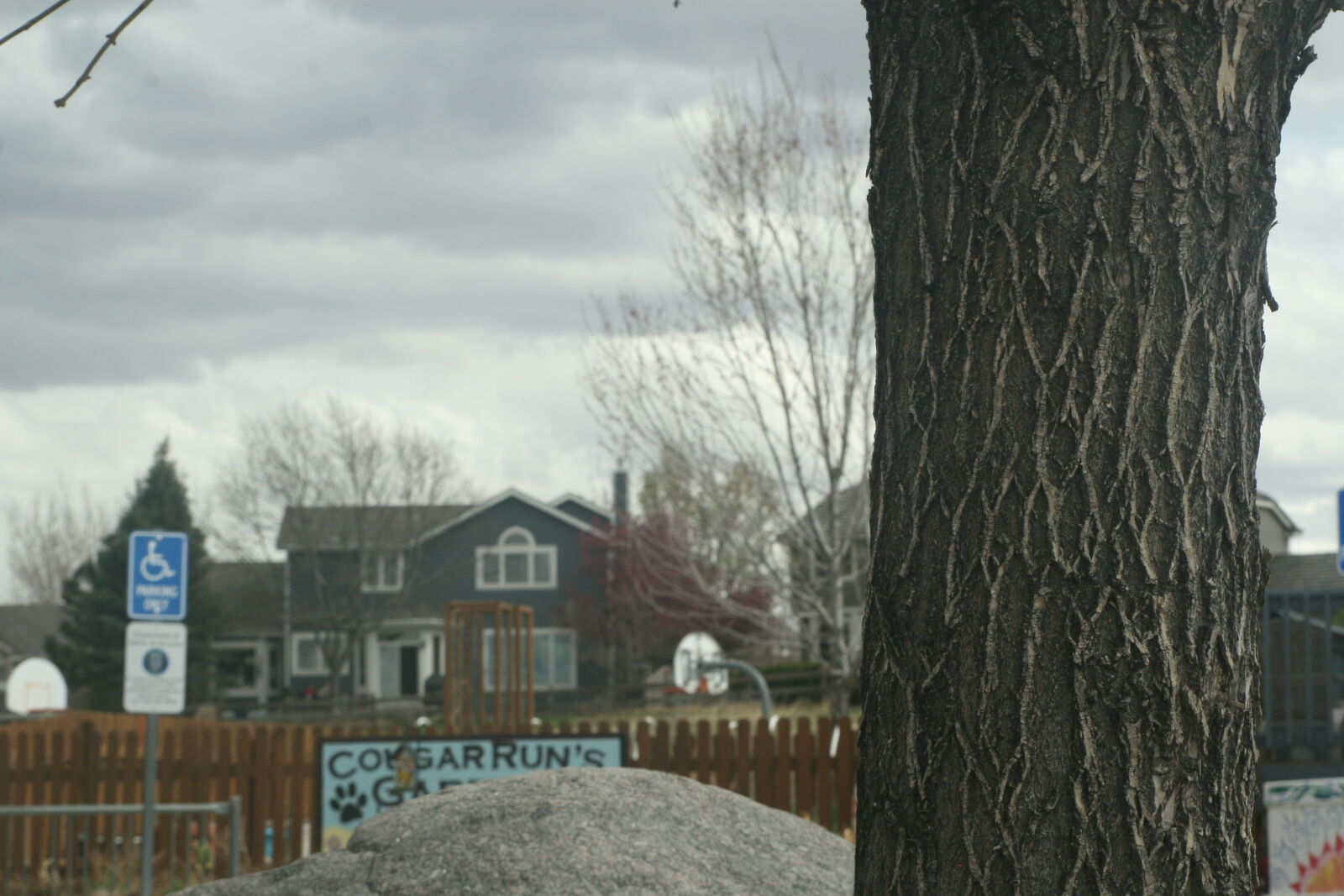 Canon EOS 30D sample photo. Mothernature, nature, tree photography