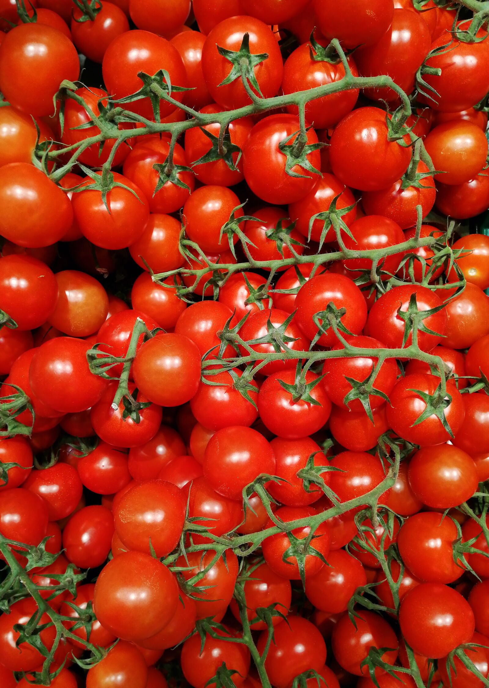 HUAWEI SNE-LX1 sample photo. Tomatoes, vegetables, healthy photography