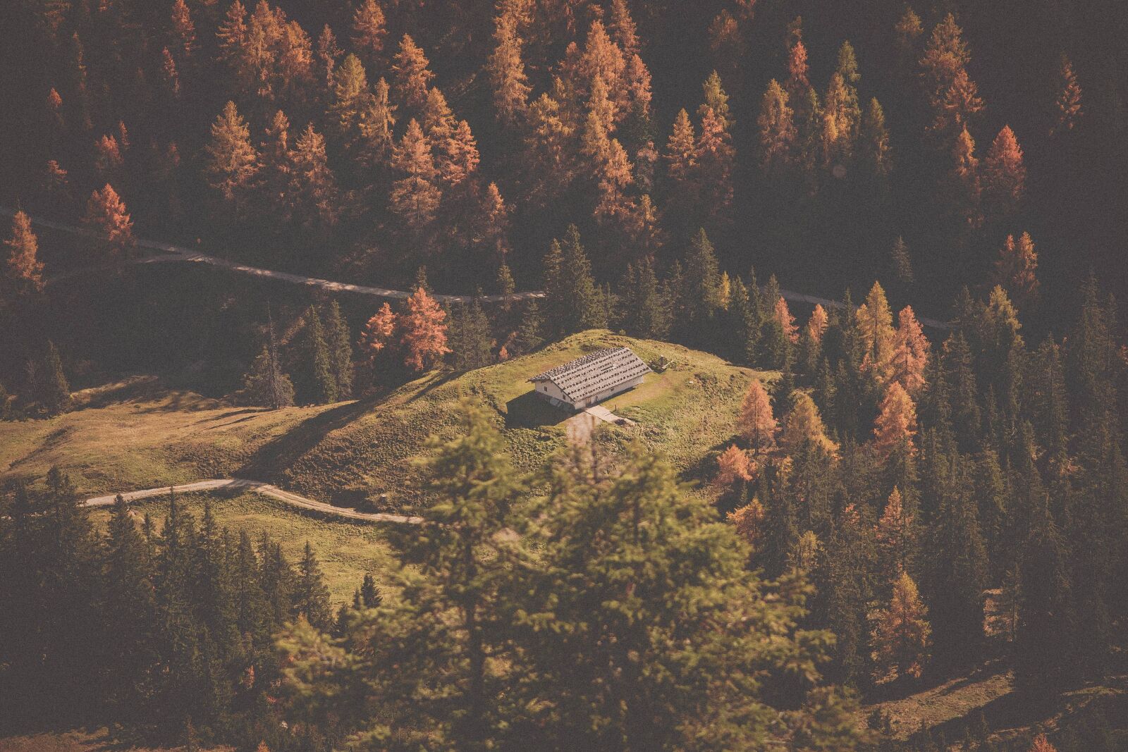 Nikon D750 sample photo. Forest, house, scenic photography
