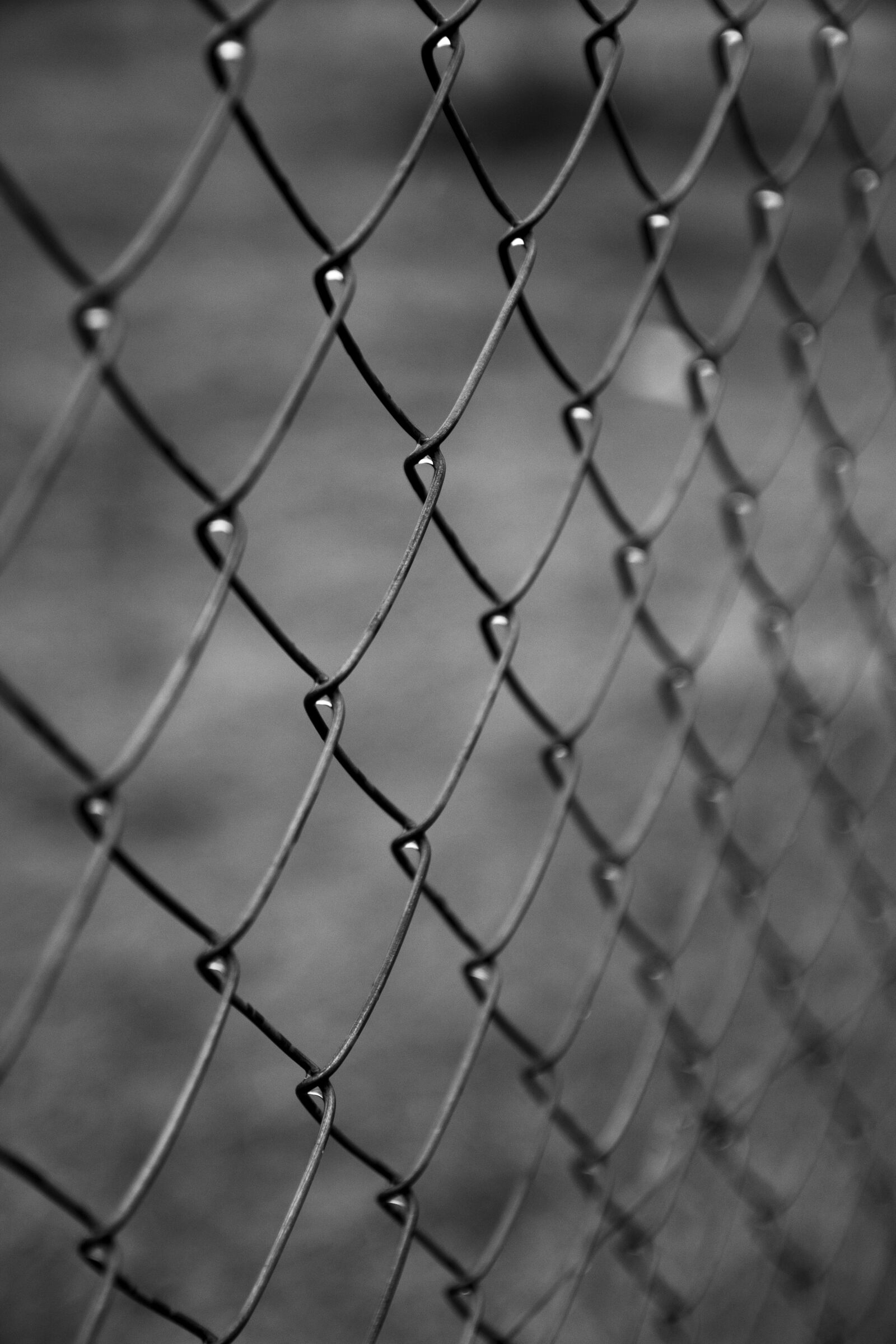 Canon EOS 650D (EOS Rebel T4i / EOS Kiss X6i) + Canon EF-S 17-55mm F2.8 IS USM sample photo. Fence, iron, metal, wrought photography