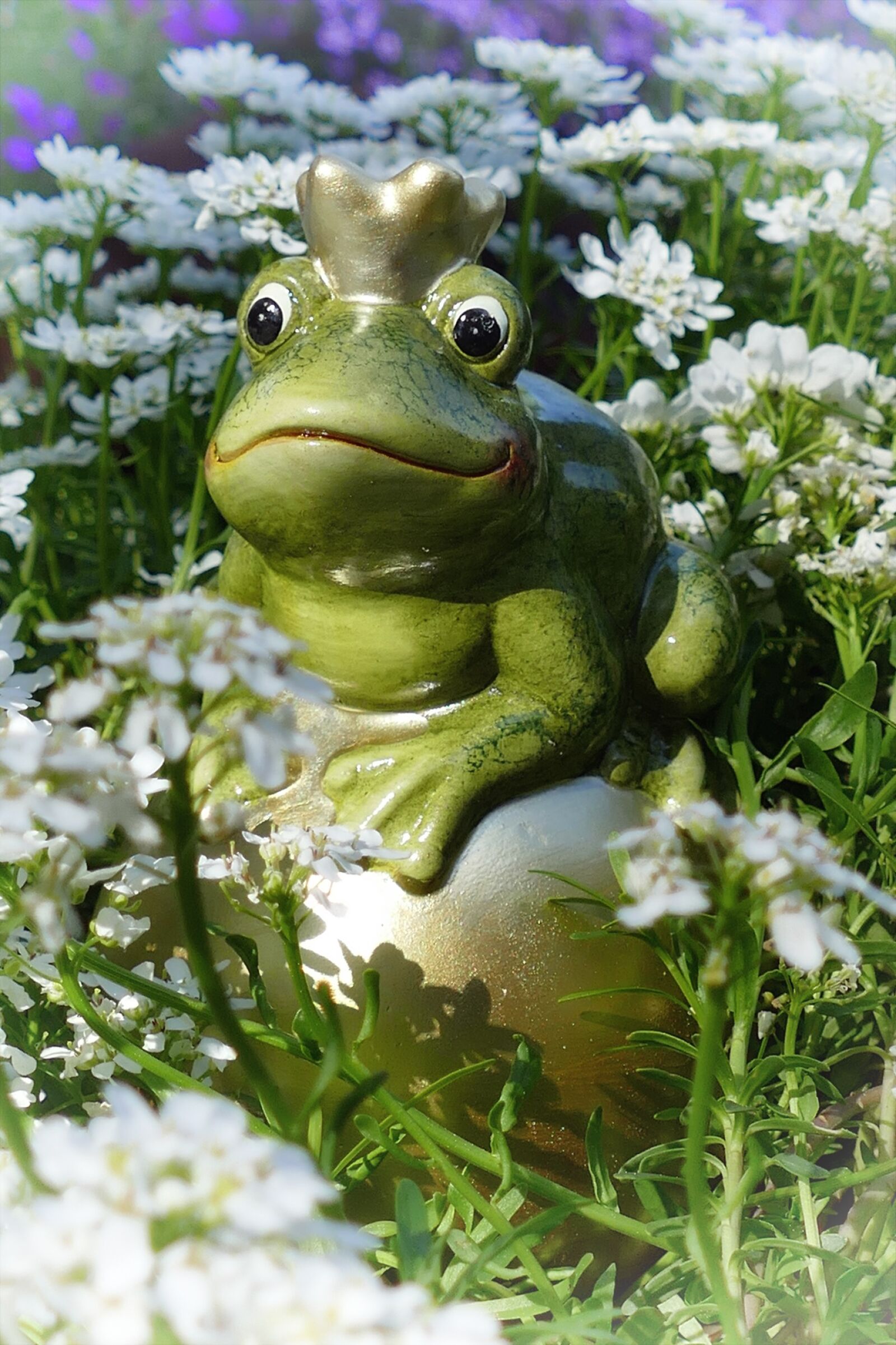 Panasonic Lumix DMC-FZ1000 sample photo. Frog prince, wedding, flowers photography