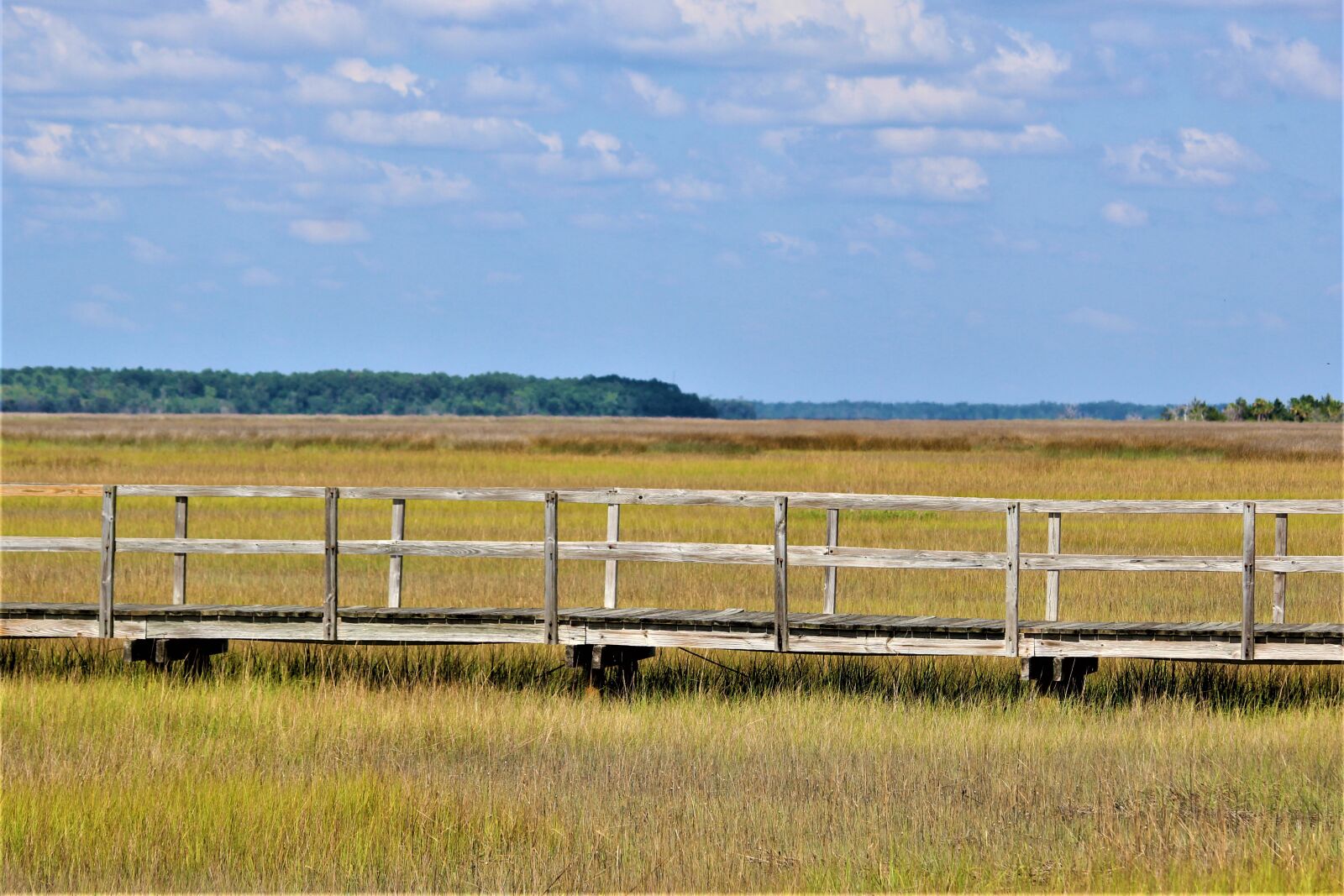 Canon EOS 1200D (EOS Rebel T5 / EOS Kiss X70 / EOS Hi) sample photo. Marsh grass, saint marys photography