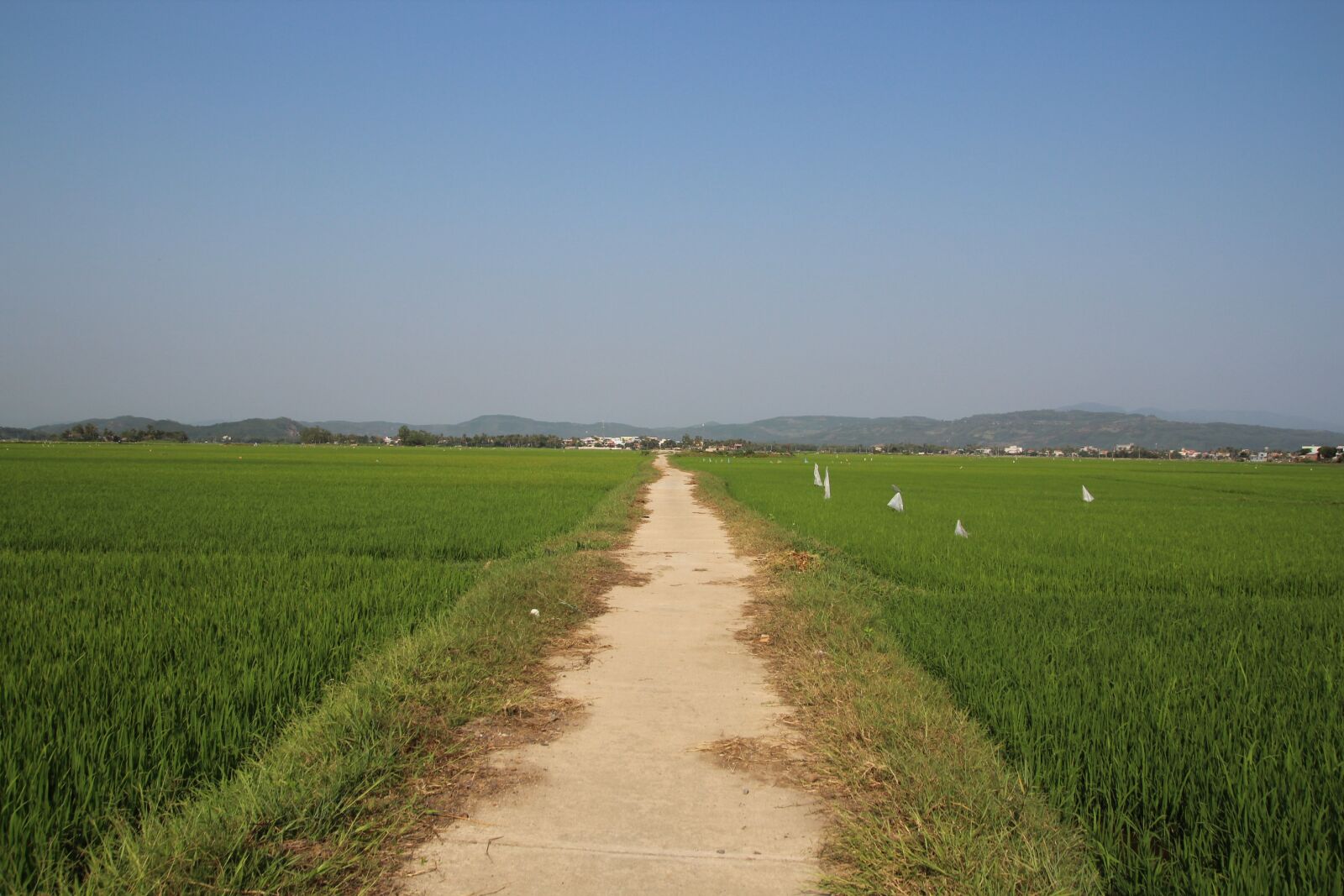 Canon EOS 1300D (EOS Rebel T6 / EOS Kiss X80) sample photo. Vietnam, asia, field photography