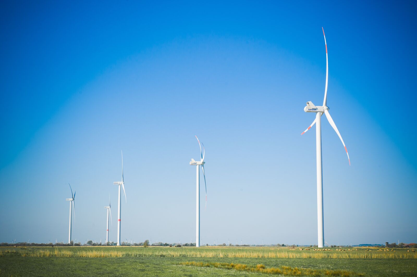Nikon D700 sample photo. Windräder, pinwheel, sky photography