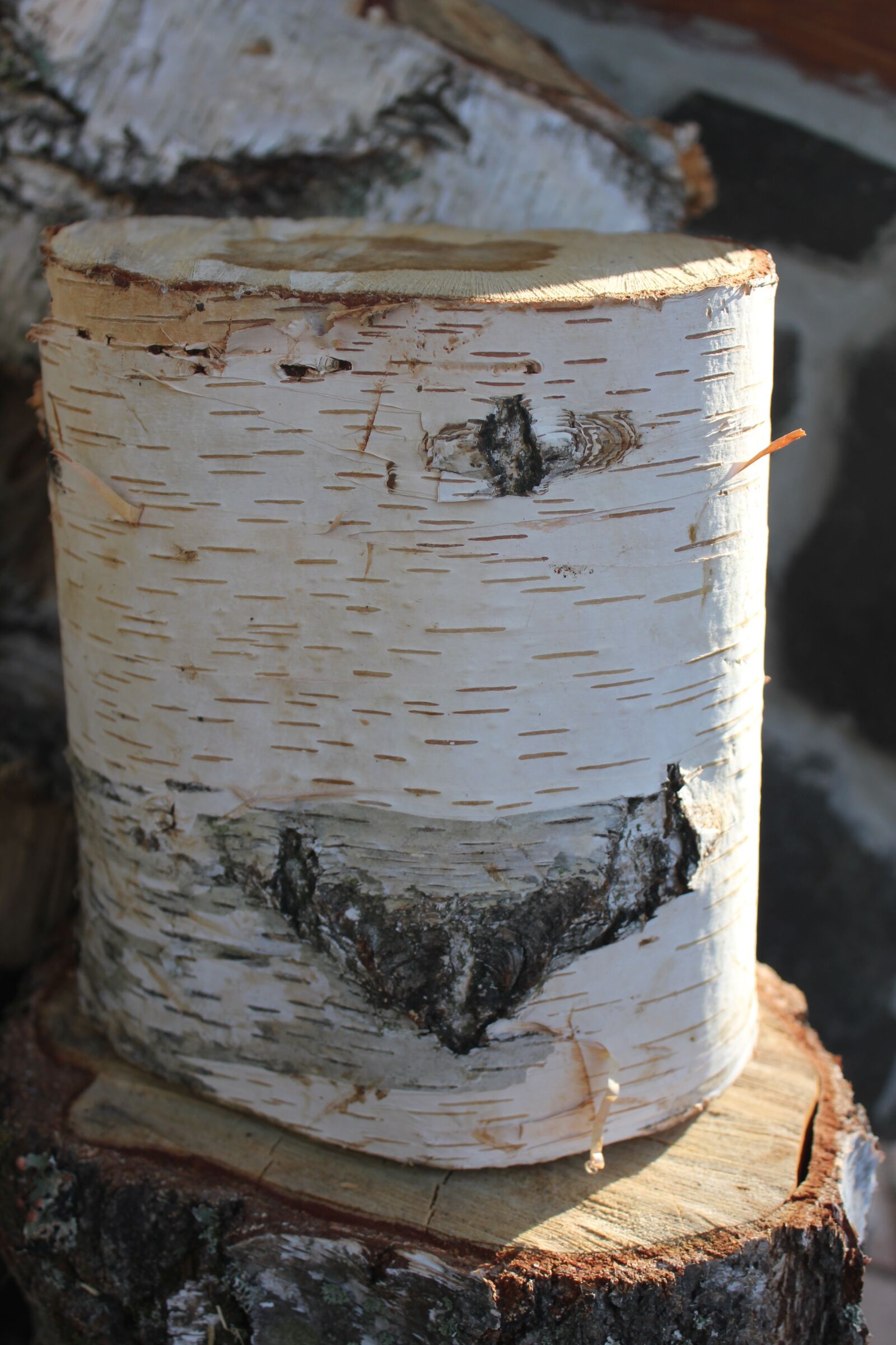 Canon EOS 550D (EOS Rebel T2i / EOS Kiss X4) sample photo. Wood, junk, brown photography