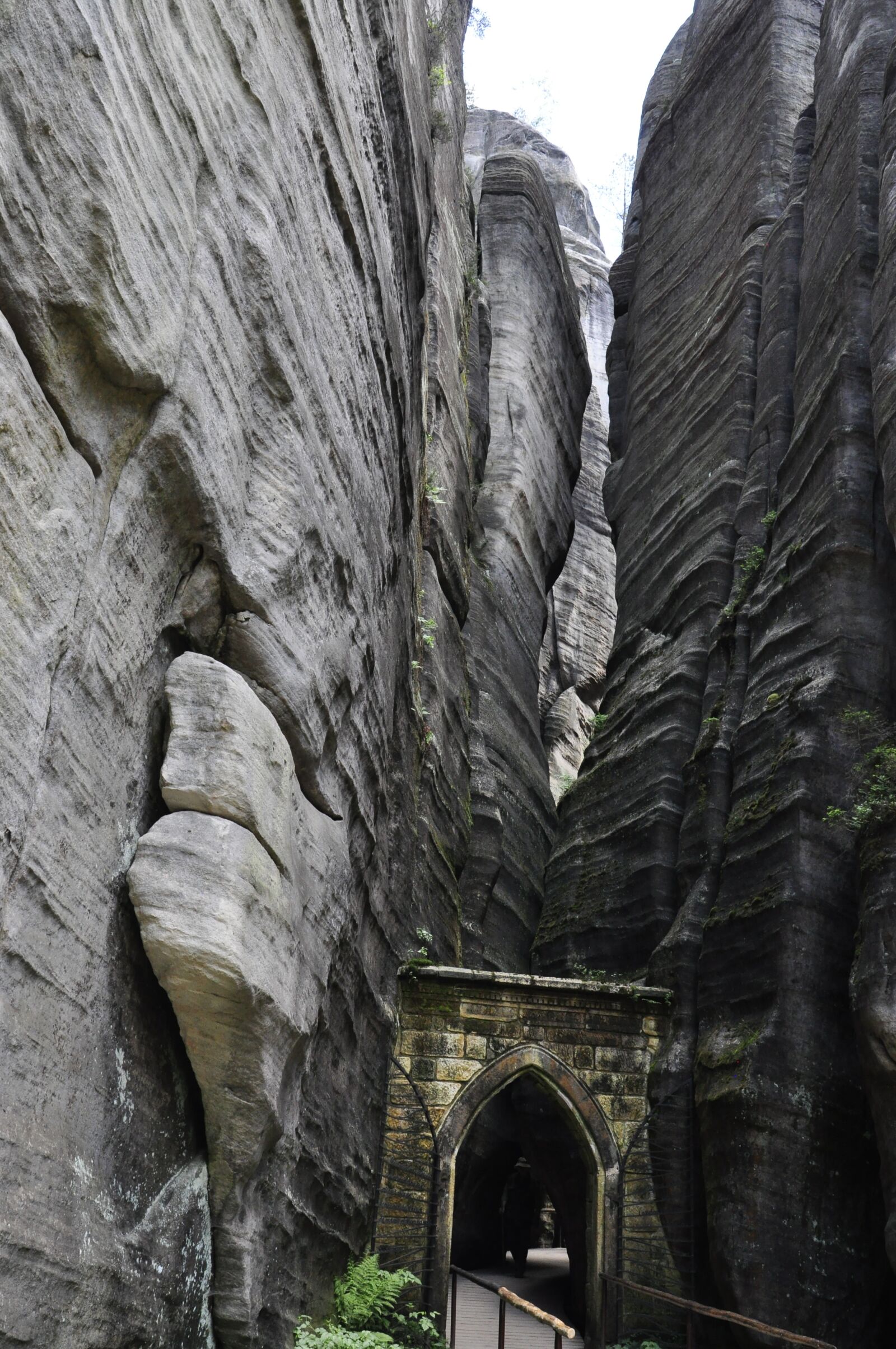 Nikon D5000 sample photo. Ardspach, mountains, czech republic photography