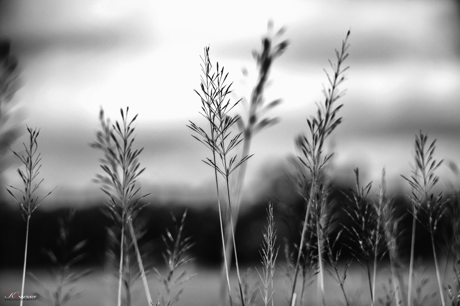 Canon EOS 70D sample photo
