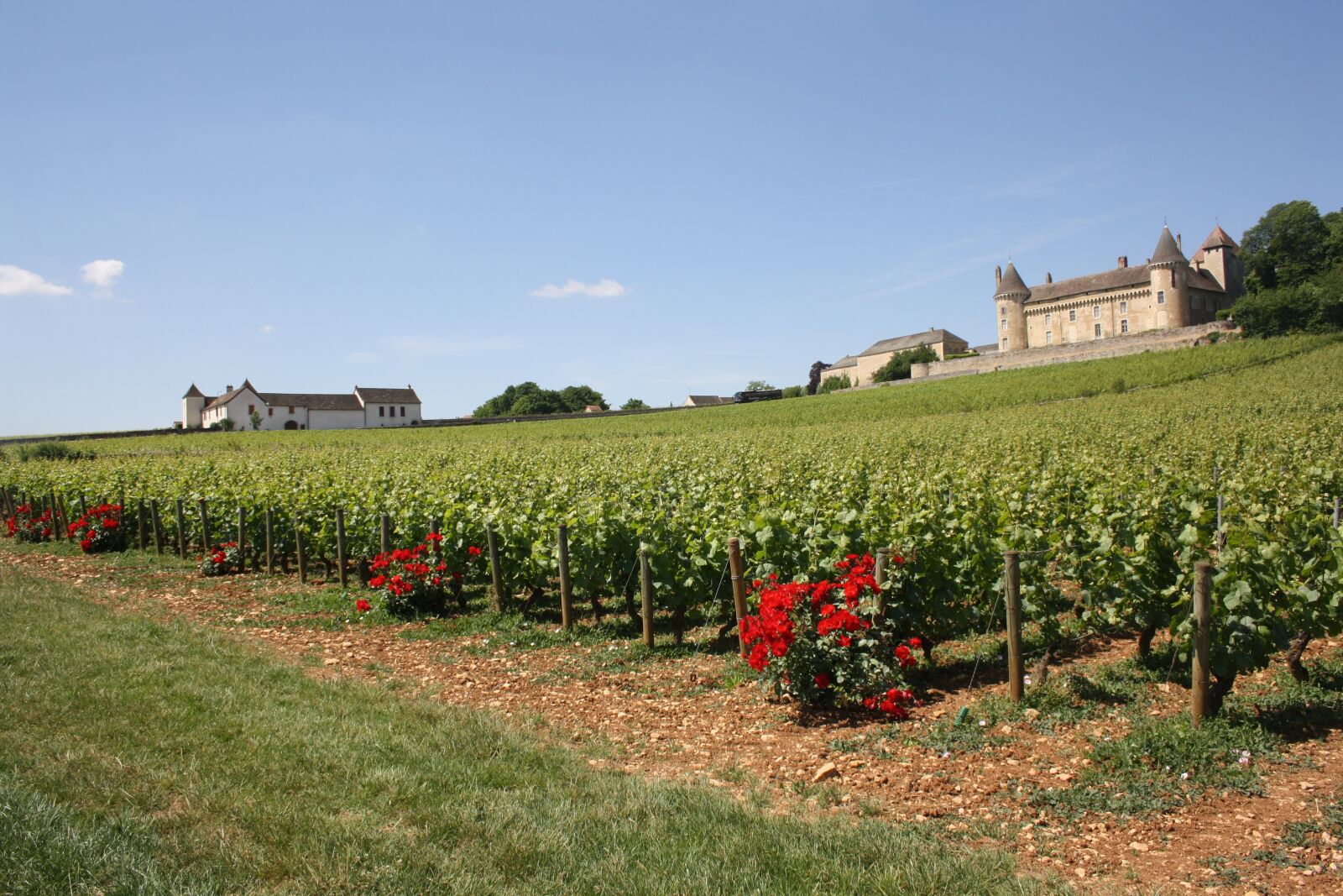 Canon EOS 1000D (EOS Digital Rebel XS / EOS Kiss F) sample photo. Burgundy, vineyard, castle photography