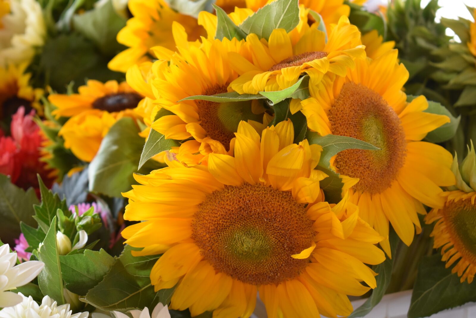 Nikon D3400 sample photo. Sunflowers, farmer's market, flowers photography