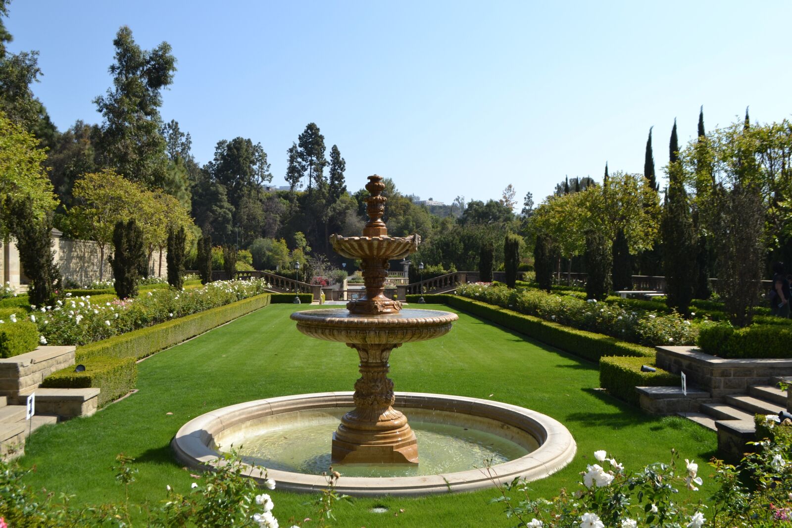 Nikon D3100 sample photo. Garden, nature, fountain photography