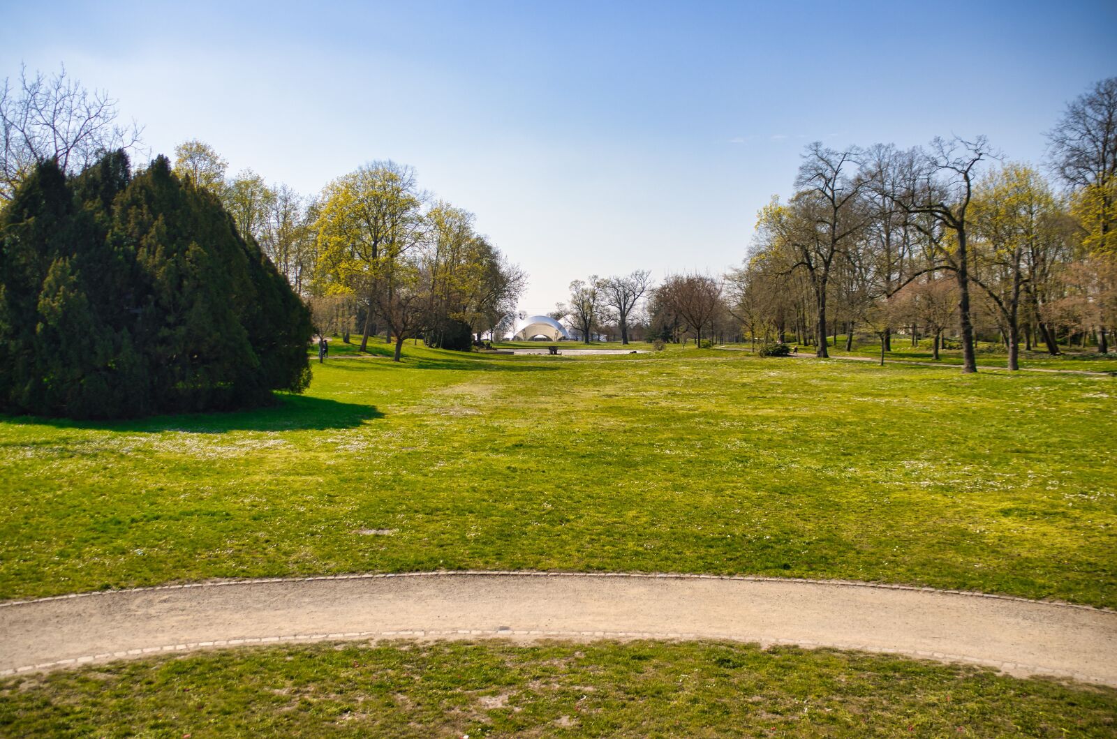 Canon EOS 90D sample photo. Tree, grass, park photography