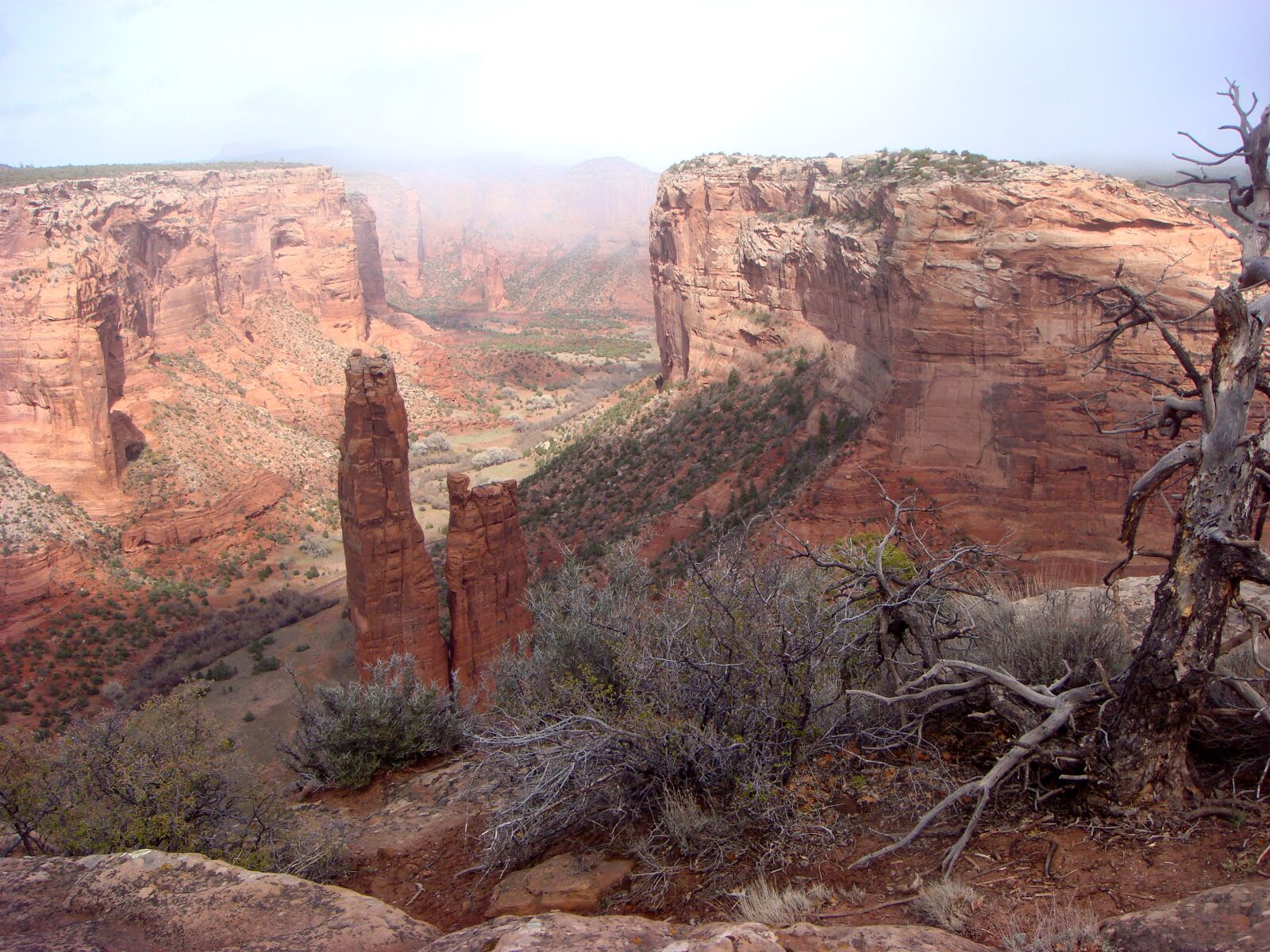 Sony DSC-T100 sample photo. Spider rock, rock formation photography