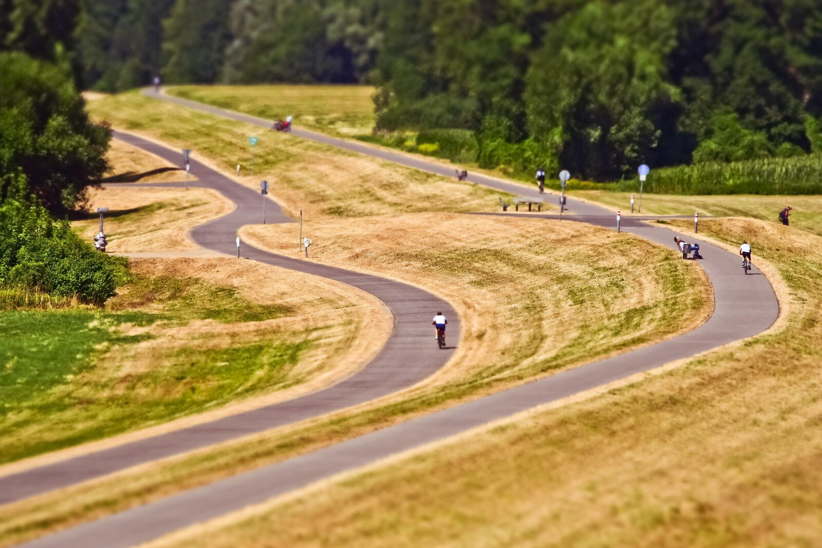 Olympus OM-D E-M10 sample photo. Way, asphalt, landscape photography