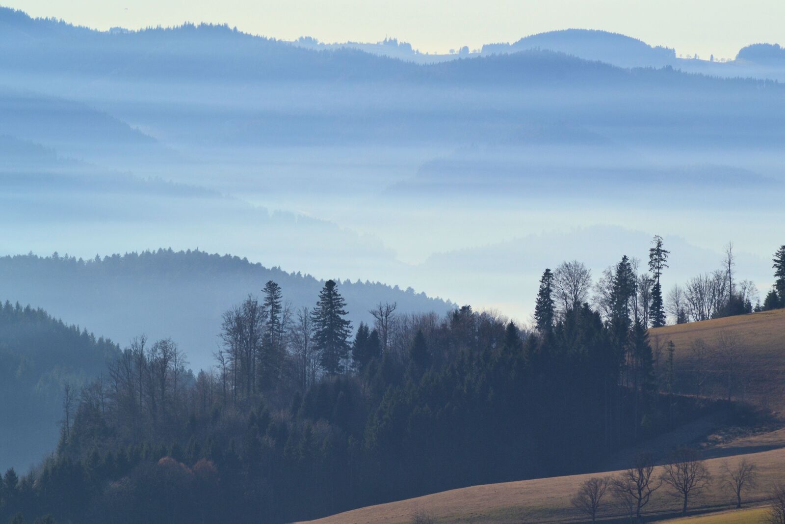 Nikon D3100 sample photo. Black forest, hiking, st photography