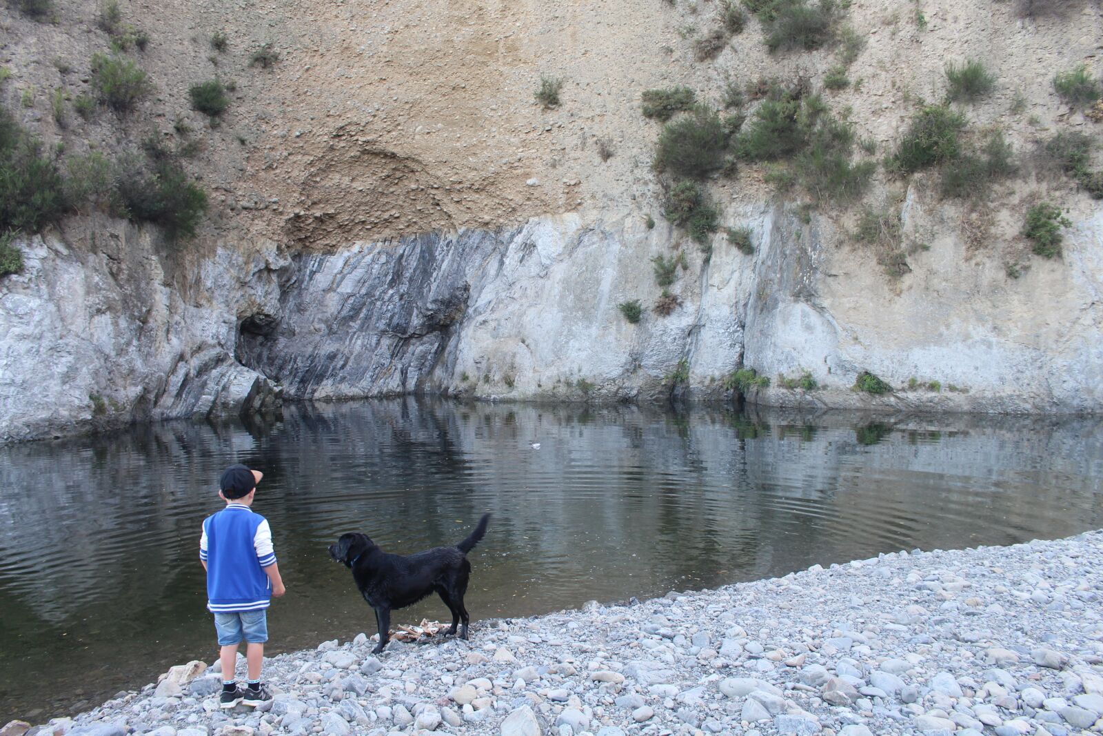 Canon EOS 700D (EOS Rebel T5i / EOS Kiss X7i) sample photo. Child, dog, play photography
