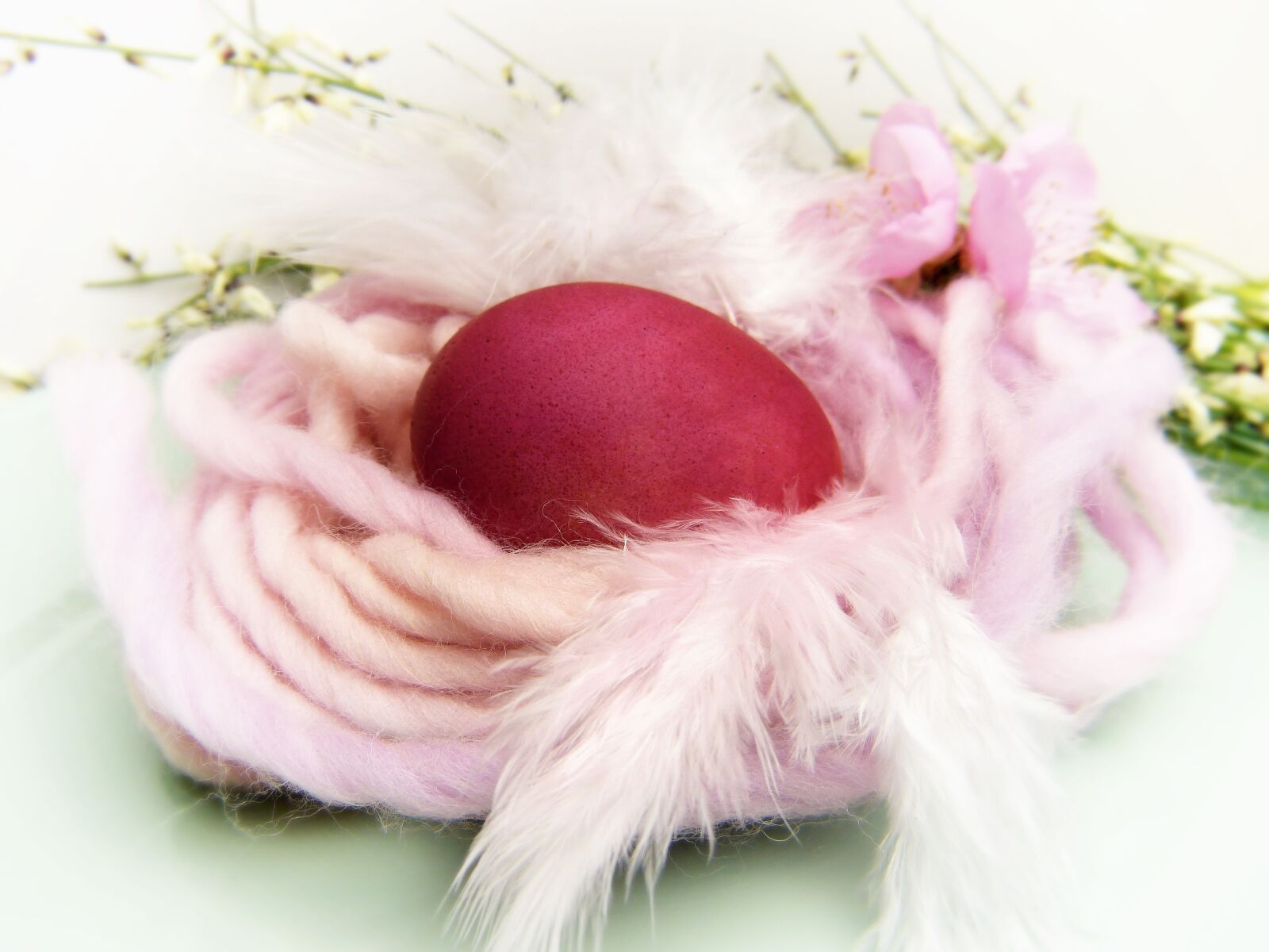 Panasonic Lumix DMC-FZ150 sample photo. Easter nest, egg, red photography