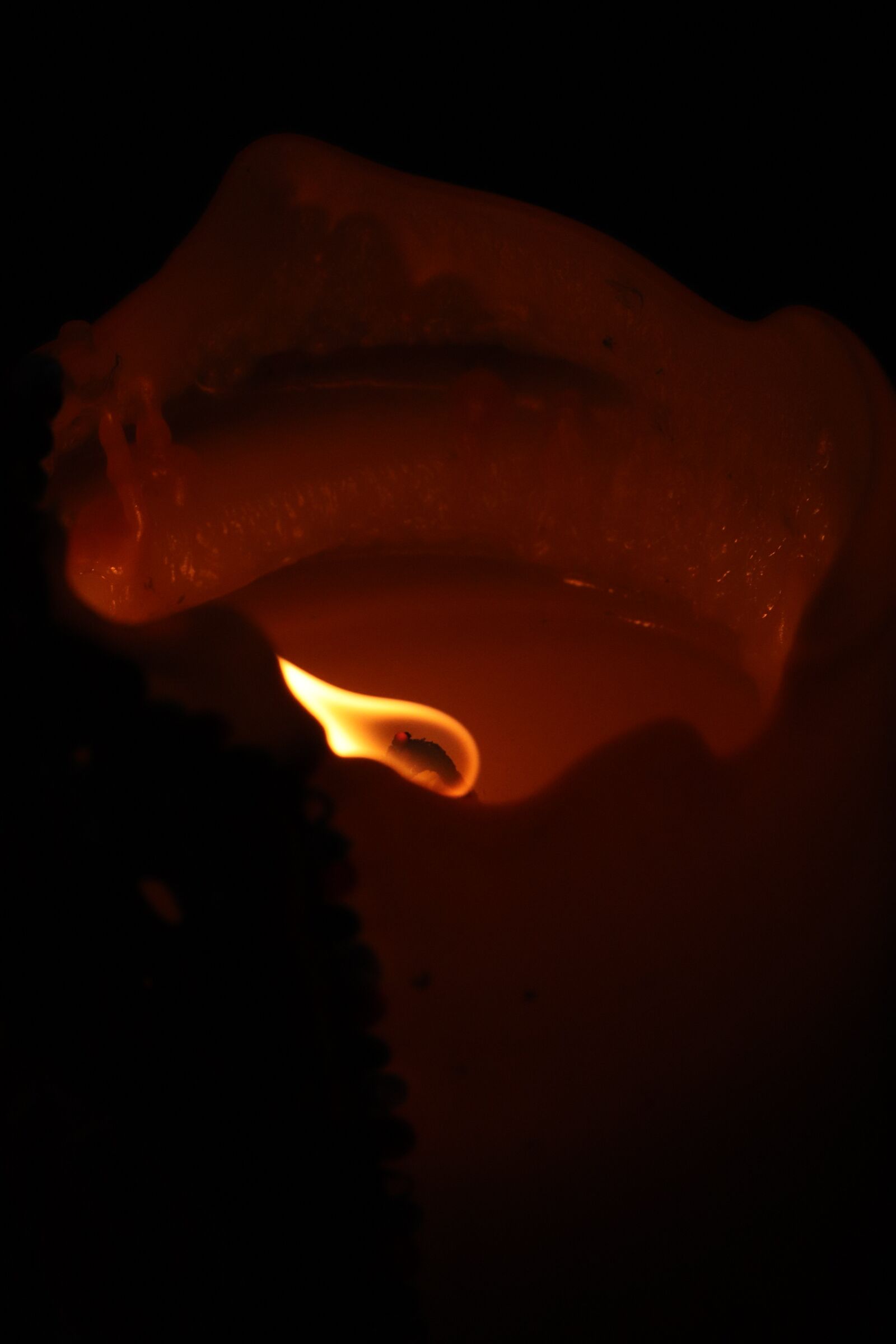 Canon EOS 800D (EOS Rebel T7i / EOS Kiss X9i) sample photo. Candle, flames, orange photography
