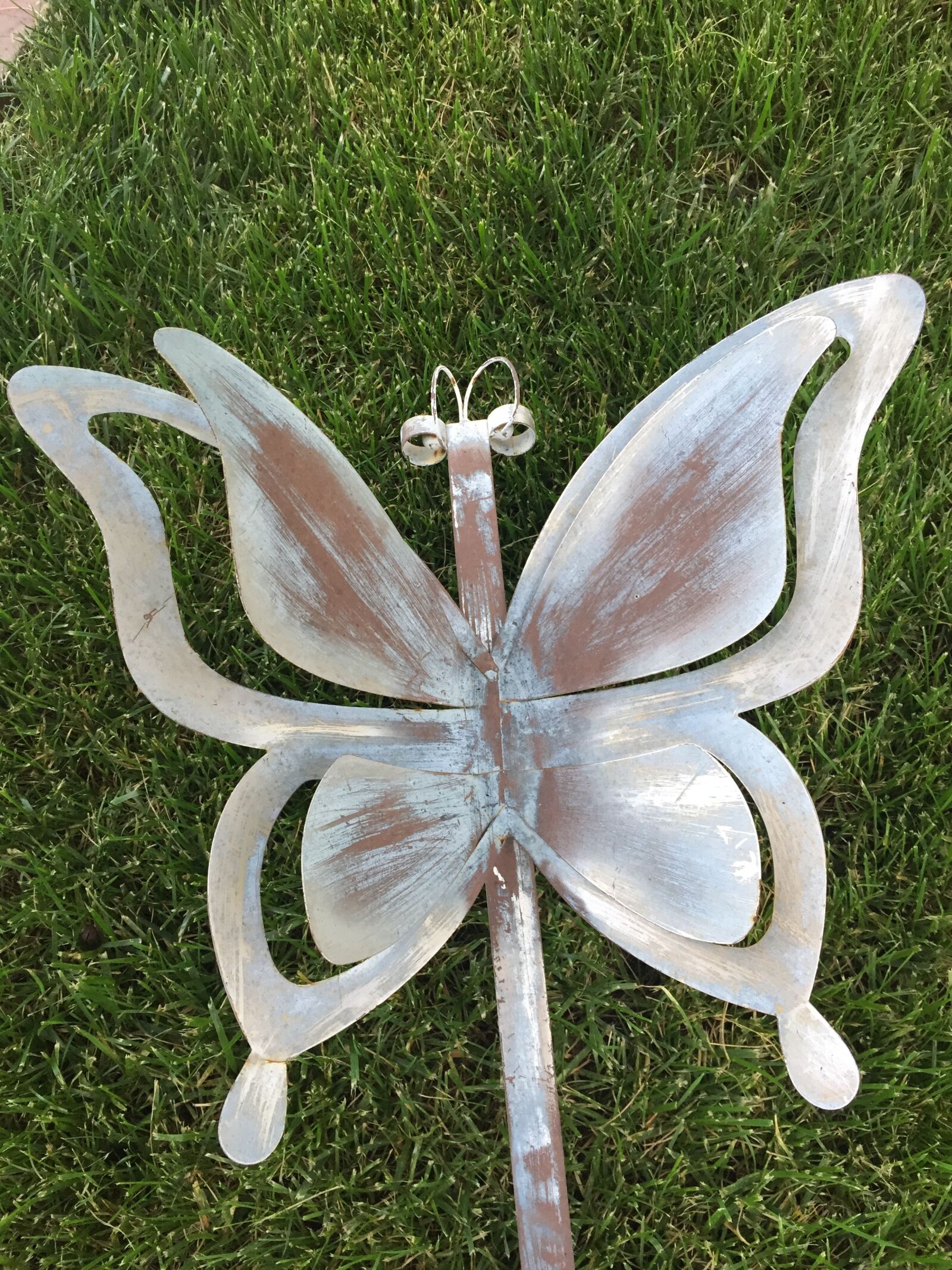 Apple iPhone 6 sample photo. Butterfly, nature, metal photography