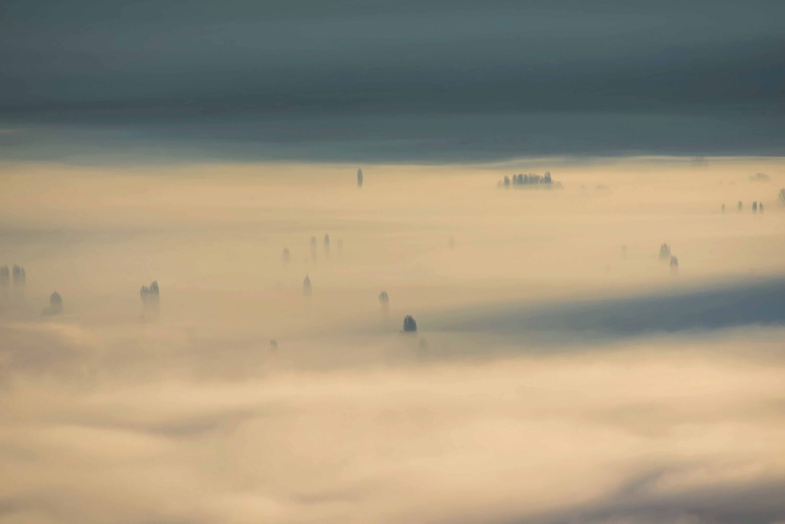 Nikon D750 sample photo. Fog, cover, lake photography