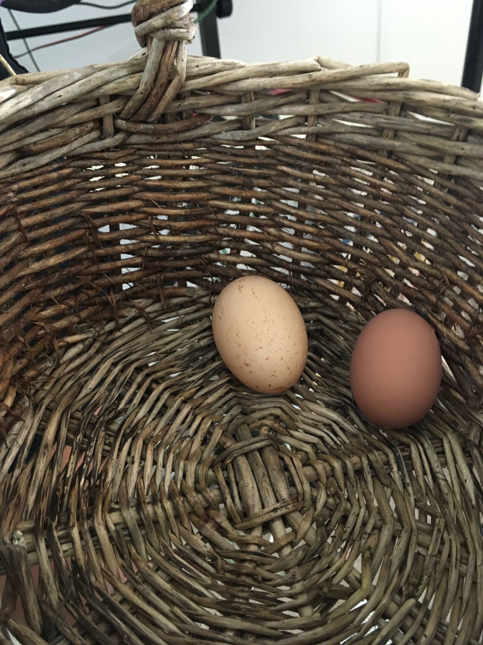 Apple iPhone SE sample photo. Eggs, basket, easter photography