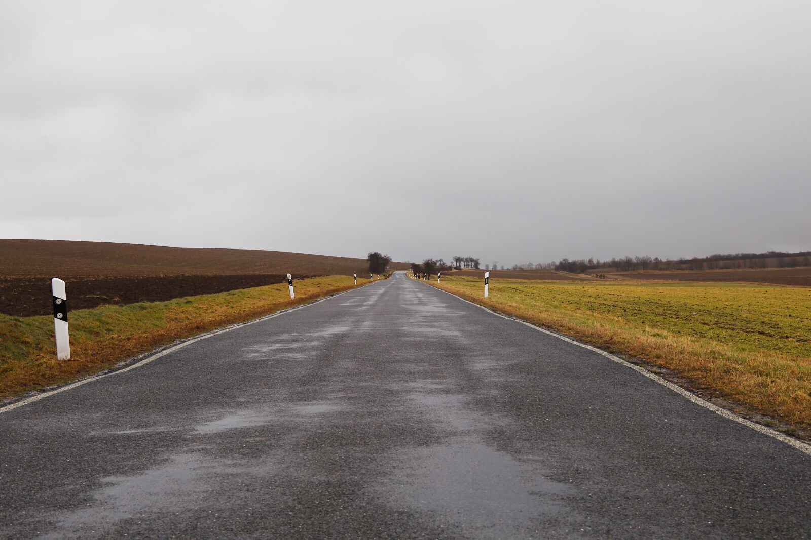 Canon EOS 6D sample photo. Road, asphalt, landscape photography