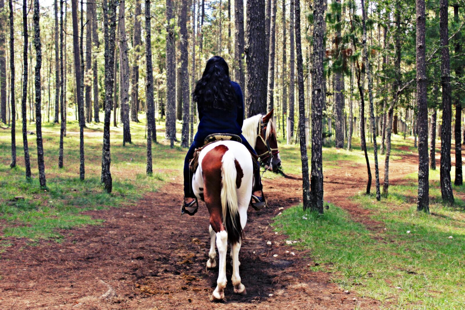 Canon EOS 1200D (EOS Rebel T5 / EOS Kiss X70 / EOS Hi) sample photo. Nature, horse, women photography