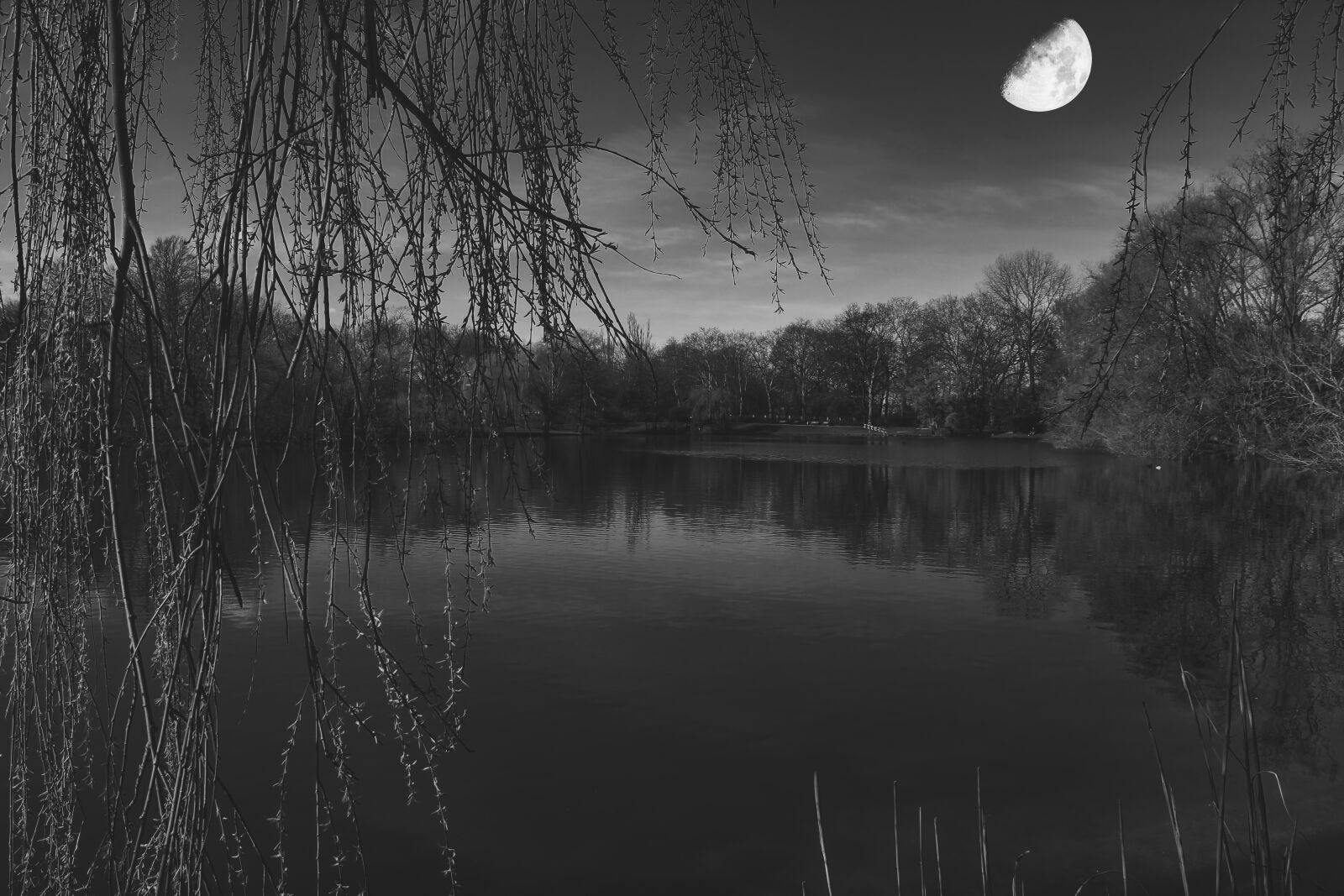 Canon EOS 2000D (EOS Rebel T7 / EOS Kiss X90 / EOS 1500D) sample photo. Moon, lake, trees photography