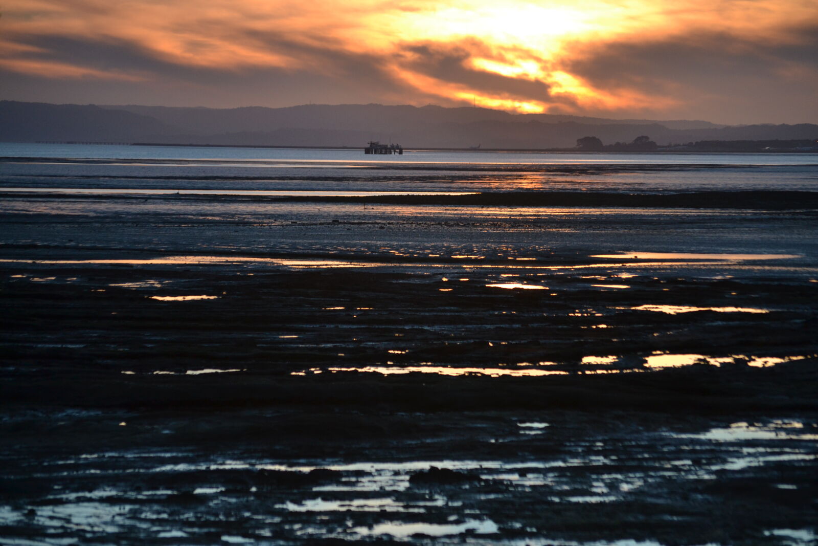 Nikon D3100 sample photo. Beach, golden, hour, manukau photography