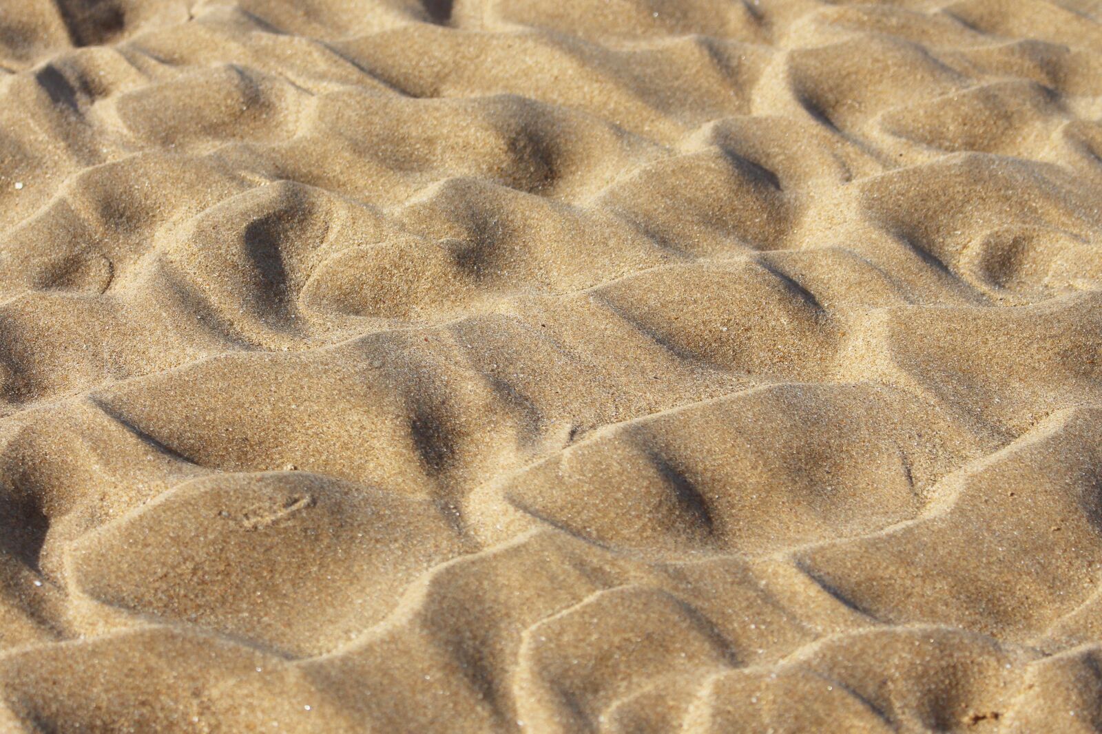 Canon EOS 700D (EOS Rebel T5i / EOS Kiss X7i) sample photo. Sand, beach, close up photography