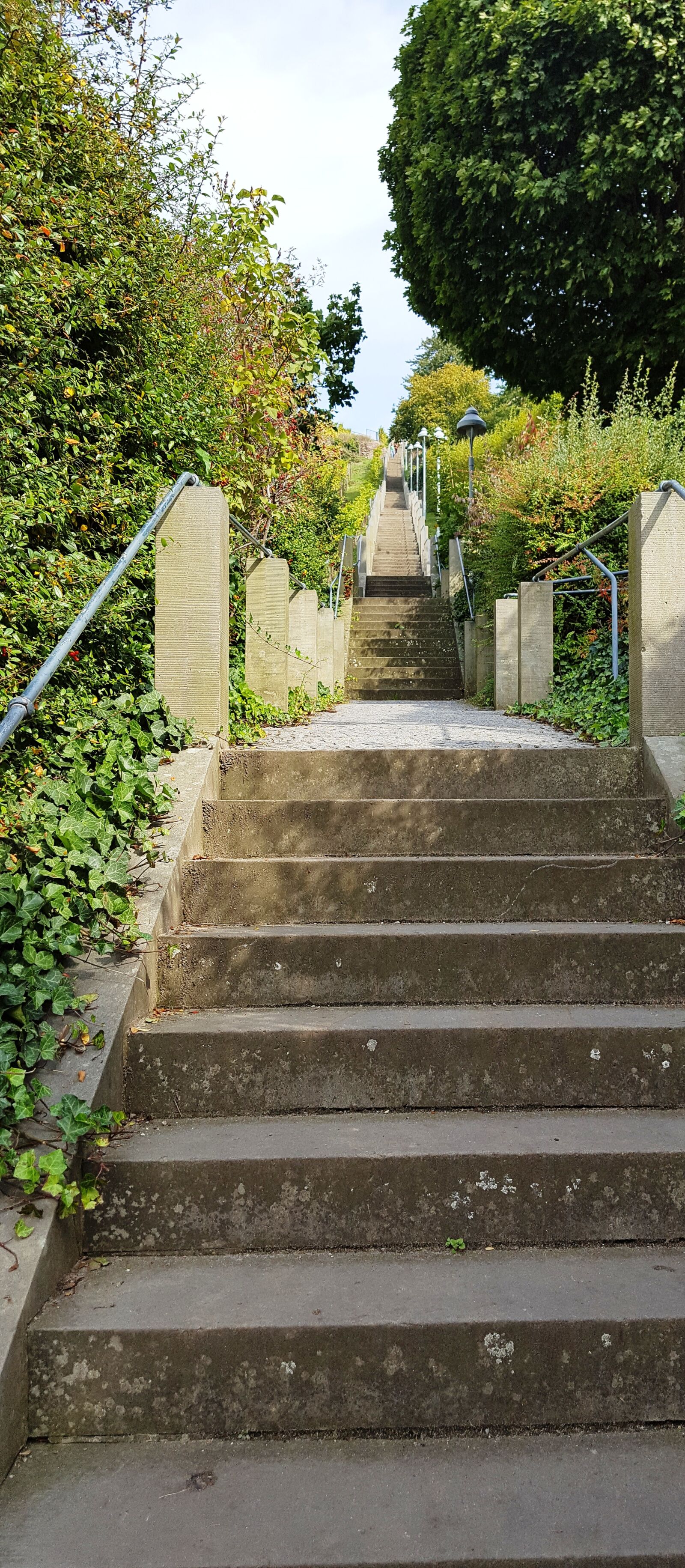 Samsung Galaxy S6 sample photo. Stairs, spitz house, vineyard photography