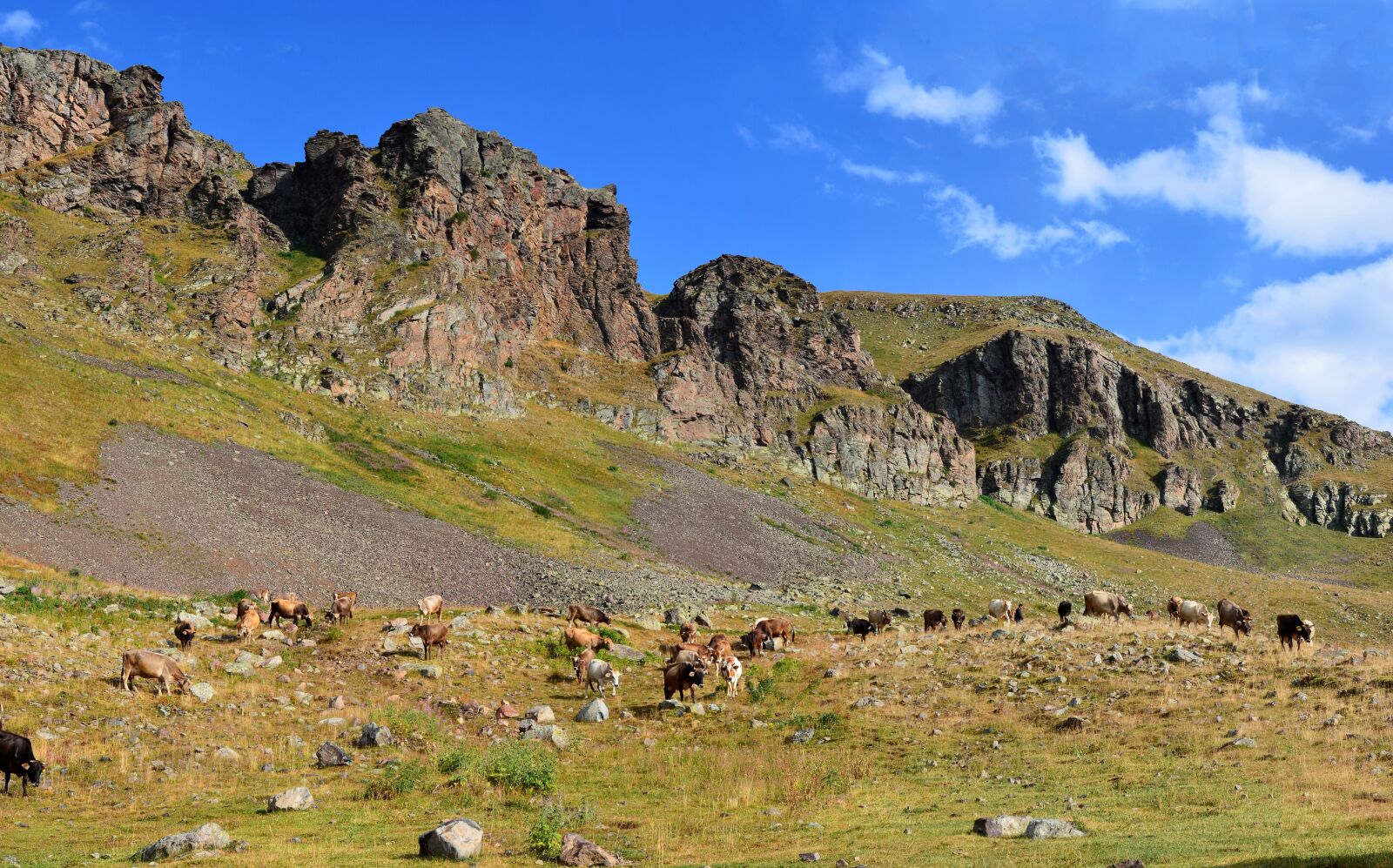 Nikon D5100 sample photo. Eastern black sea, landscape photography