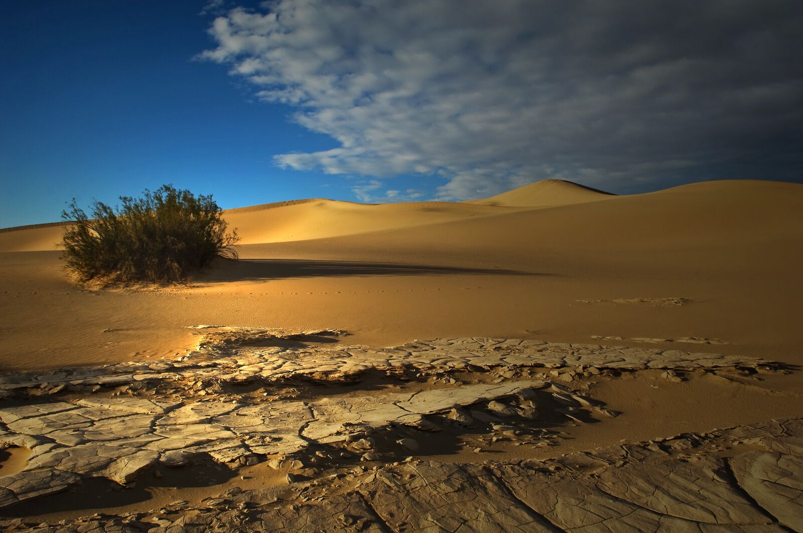 Nikon D2X sample photo. Sand, dunes, desert photography