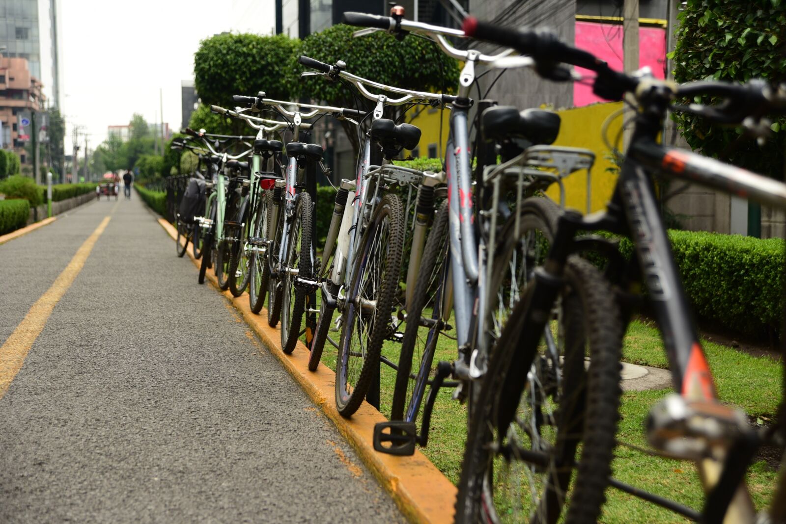 Nikon D750 sample photo. Bicycles, tours, tourism photography