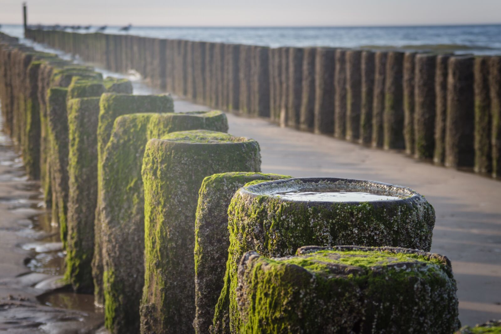 Canon EOS 7D sample photo. Stack, höft, groynes photography
