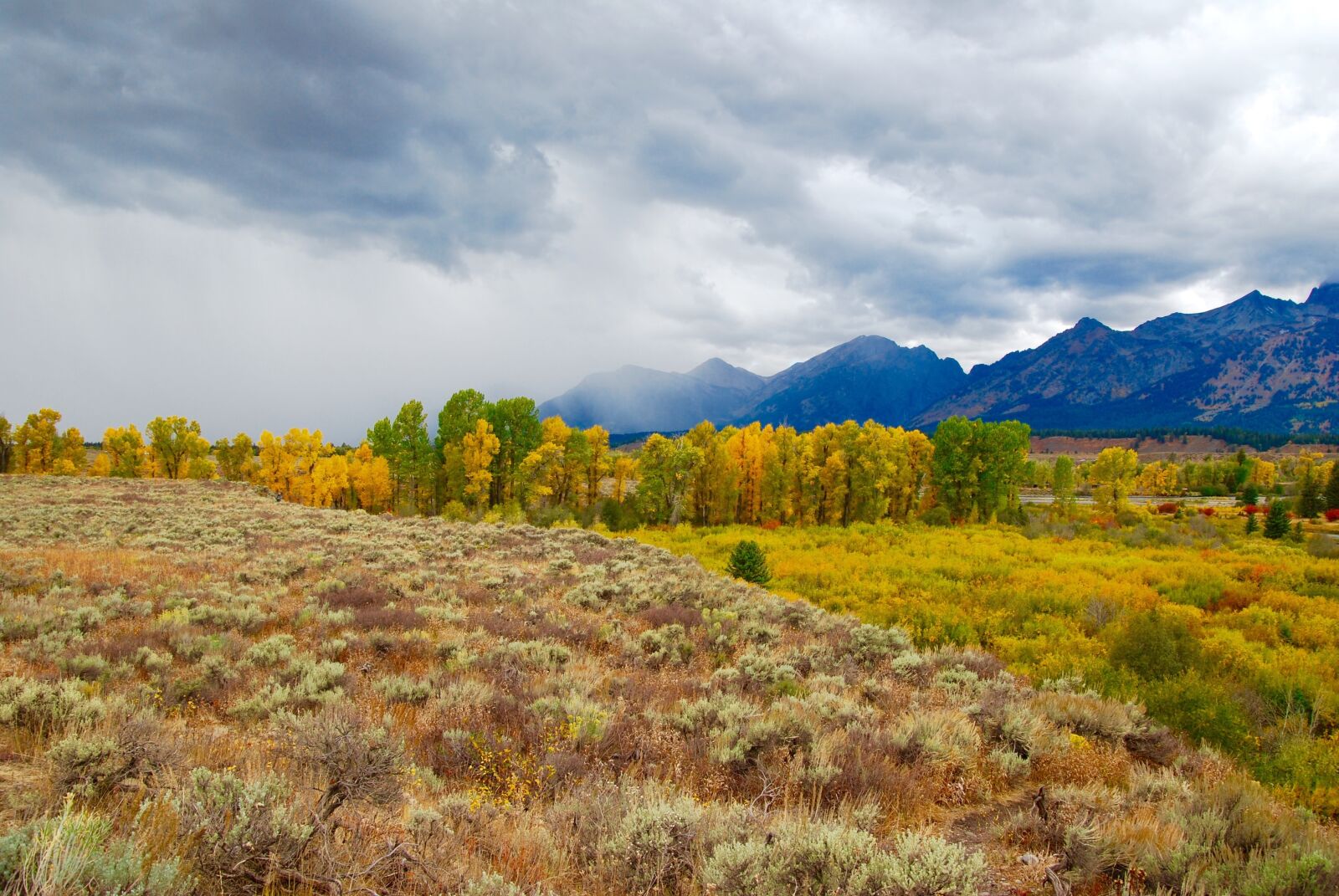 Nikon D60 sample photo. Aspen, storm, mountains photography