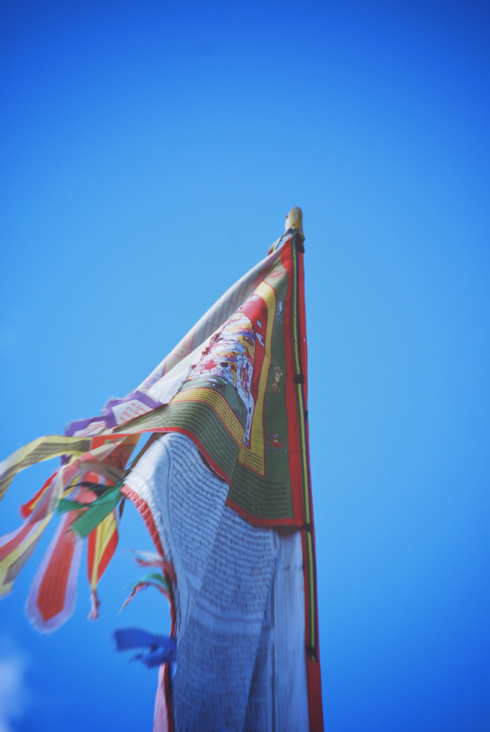 Nikon D40X sample photo. Prayer flags, flag pole photography