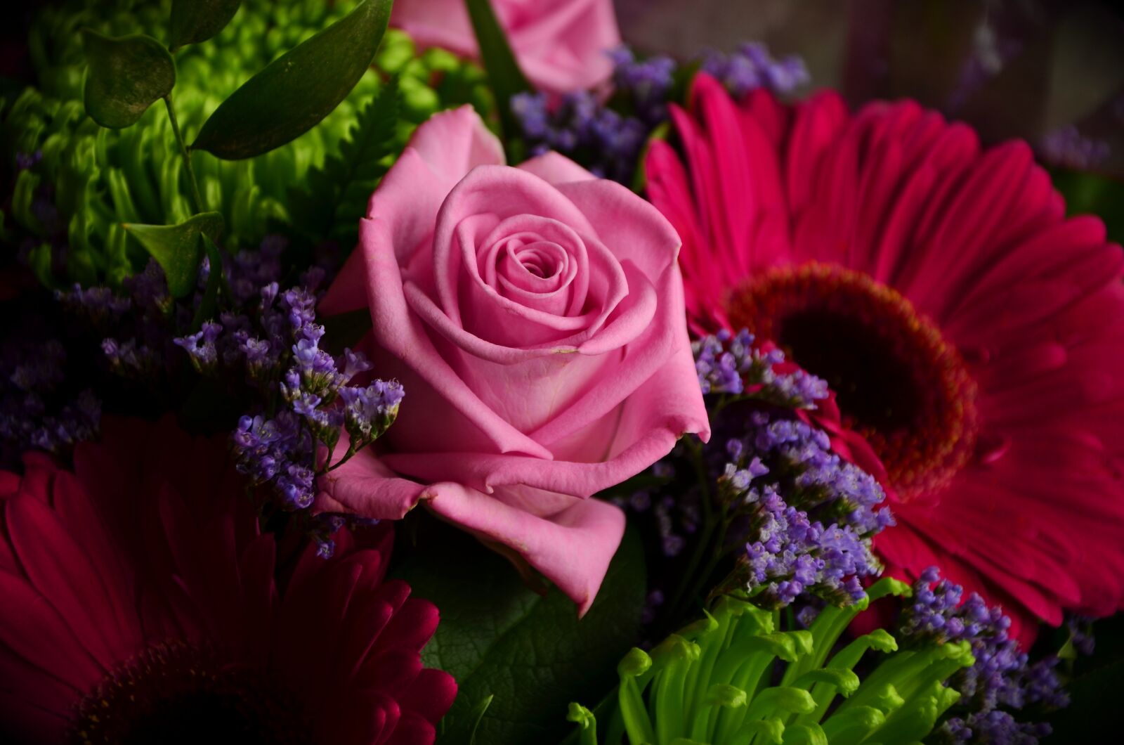 Nikon D5100 sample photo. Rose, pink, bouquet photography