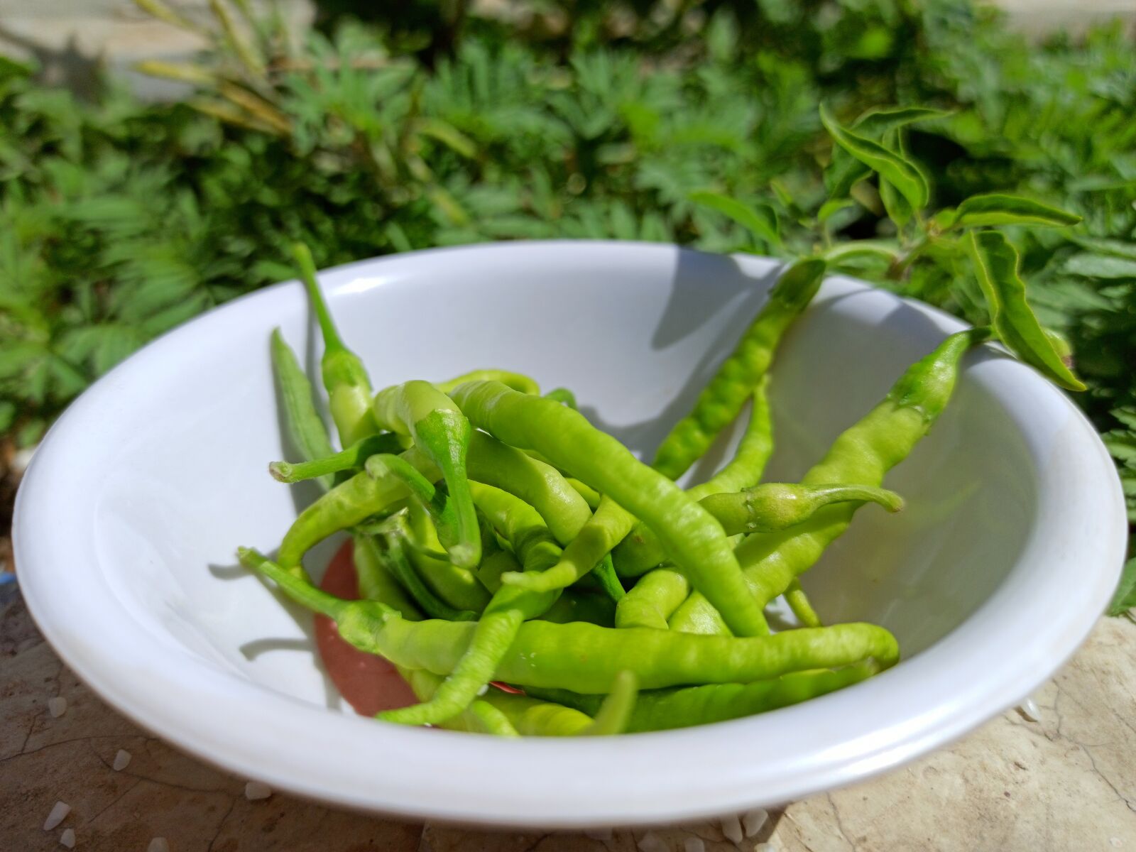 Xiaomi Redmi Note 8 Pro sample photo. Chili, chili green, healthy photography