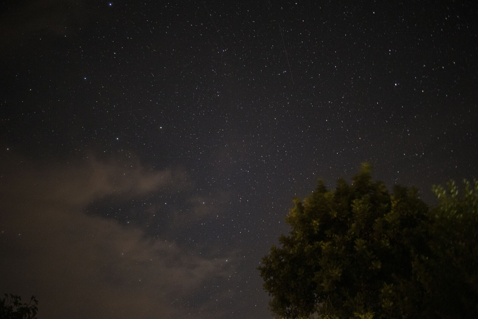 Canon EOS M5 sample photo