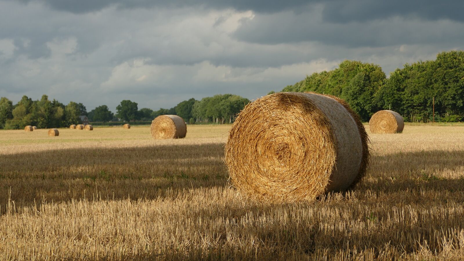 Panasonic Lumix DMC-FZ1000 sample photo. Straw bales, straw, field photography